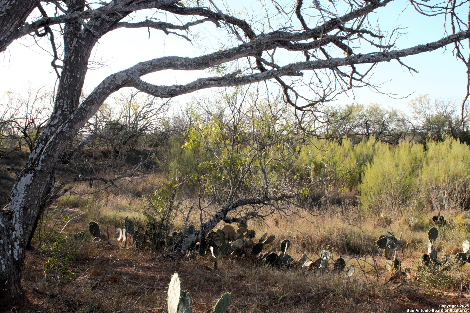 Tbd Pr Lexi Lane Poteet, TX 78065 - Photo 7 of 11