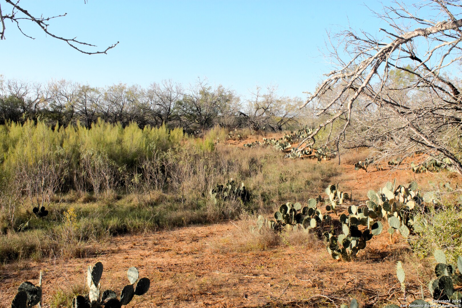 Tbd Pr Lexi Lane Poteet, TX 78065 - Photo 8 of 11