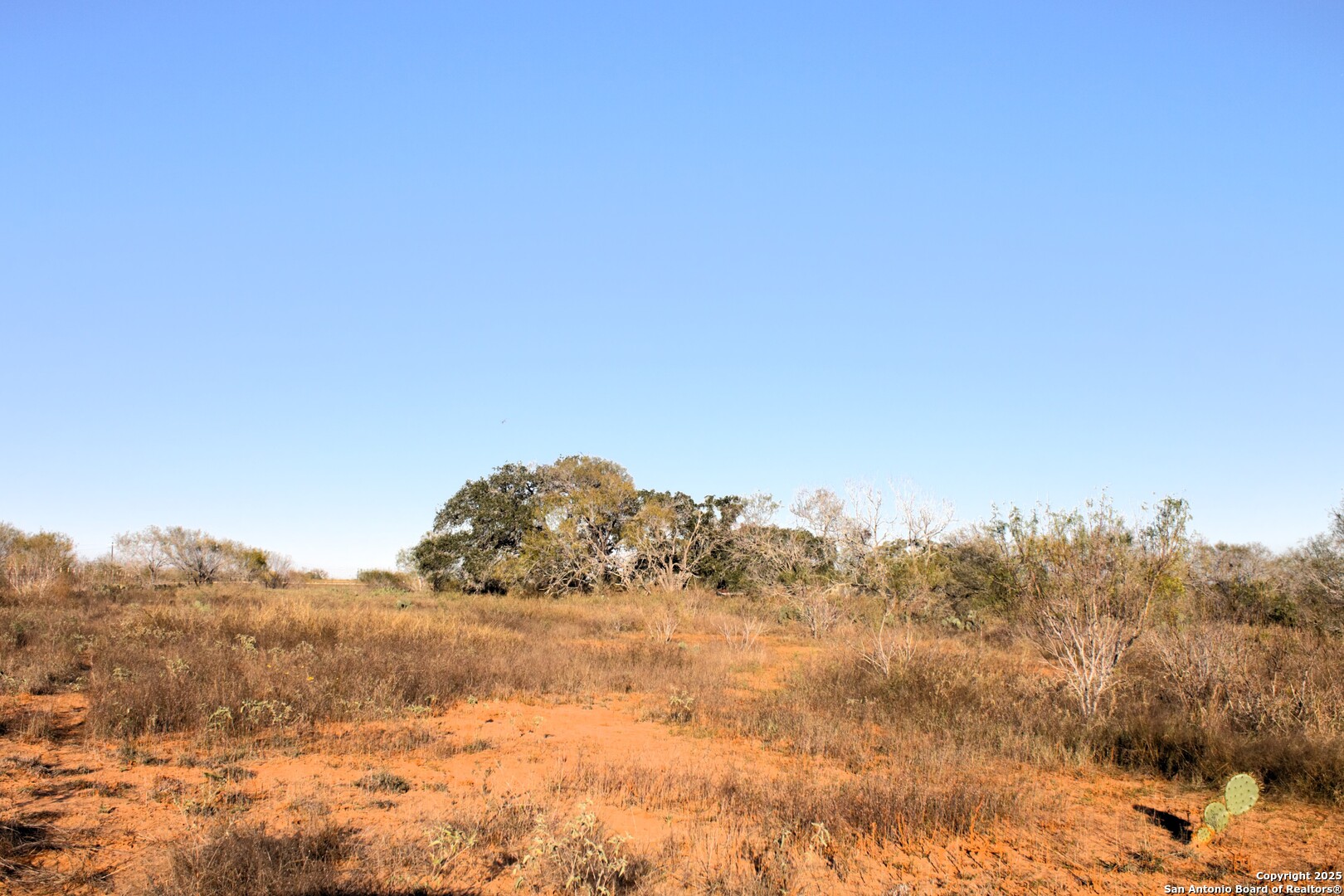 Tbd Pr Lexi Lane Poteet, TX 78065 - Photo 9 of 11