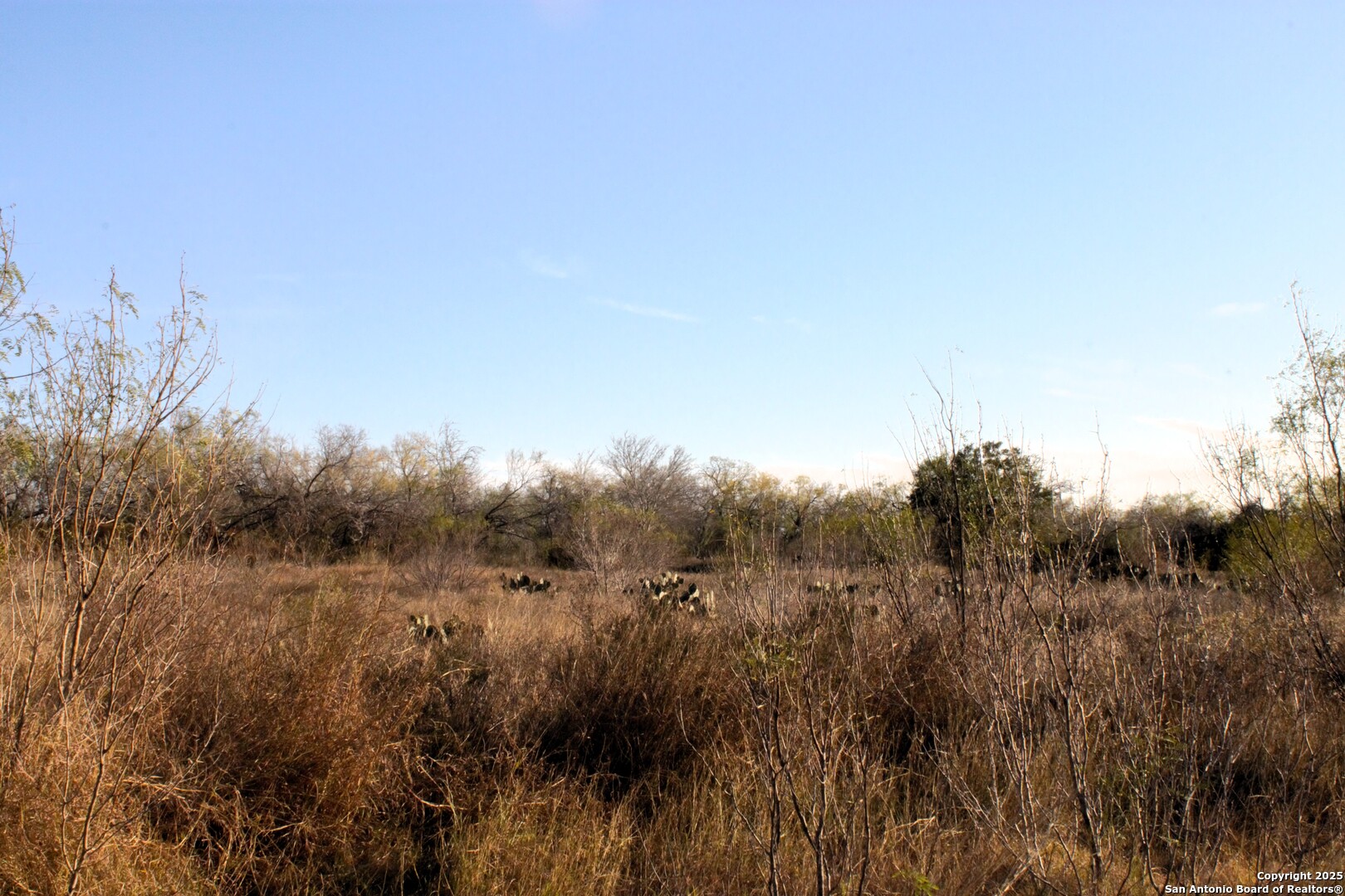 Tbd Pr Lexi Lane Poteet, TX 78065 - Photo 10 of 11