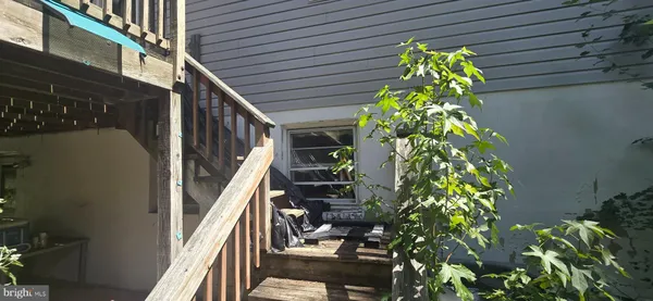 a yellow plant sitting in front of a house