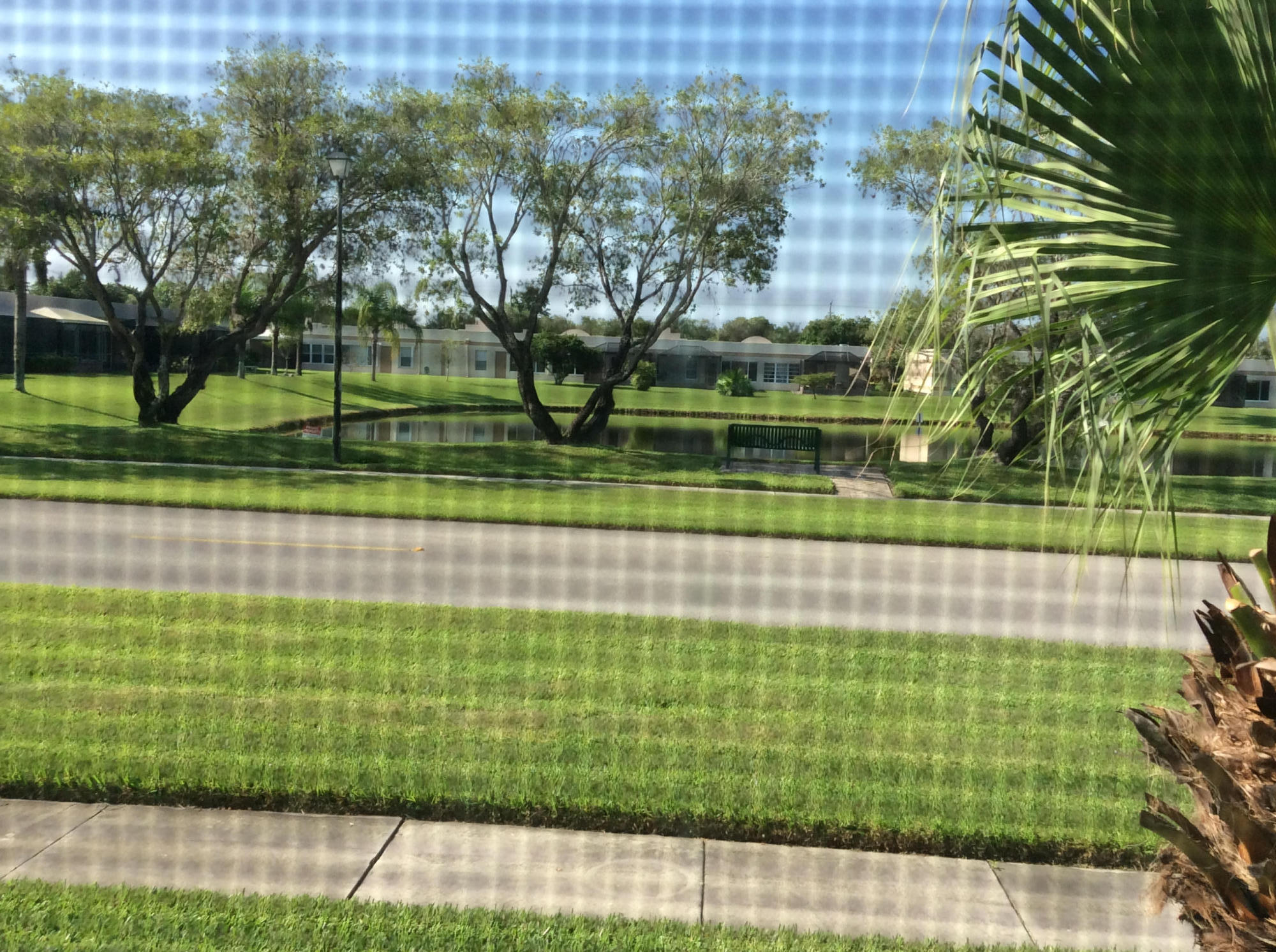 View of Lake in the back