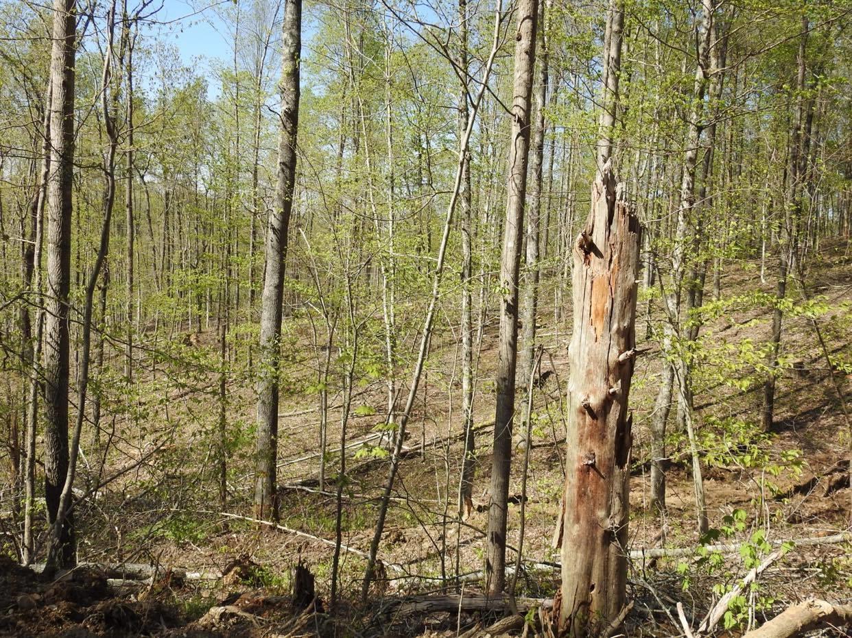 821 Ben Baker Road Somerset, KY 42501 - Photo 11 of 12 821 Ben Baker