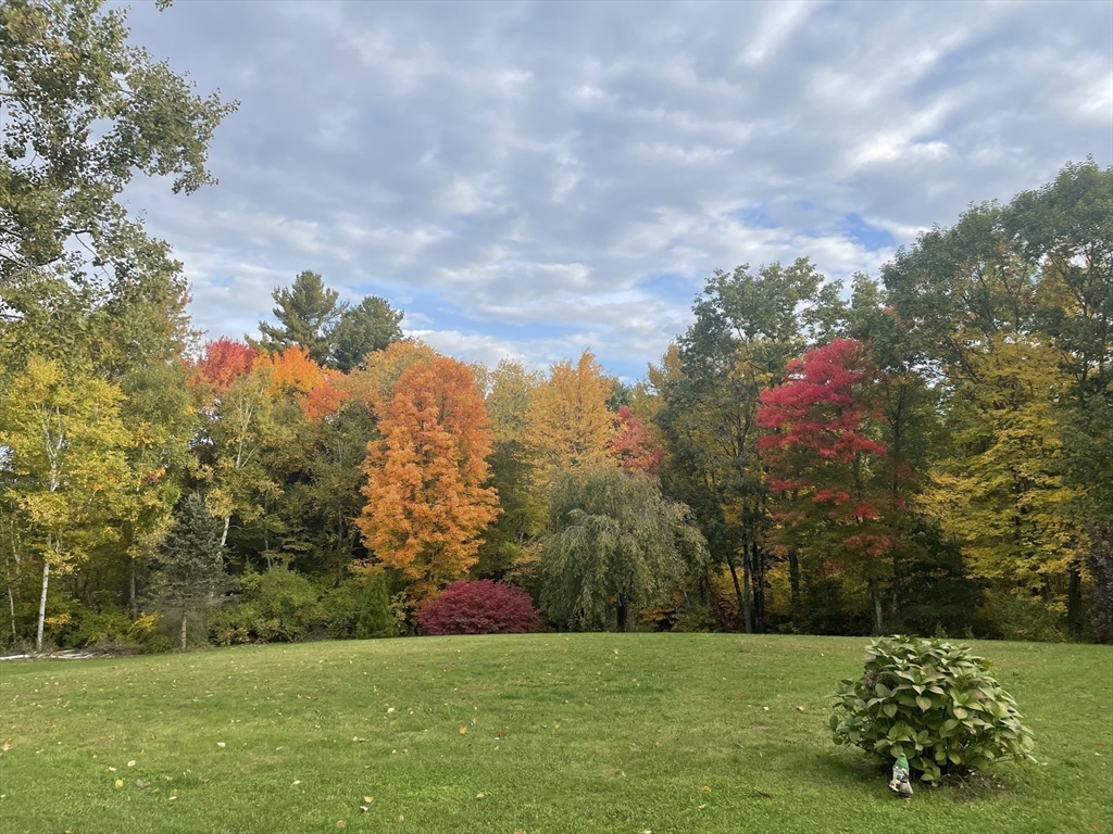 290 Woods Road Barre, MA 01005 - Photo 2 of 13 a view of a garden