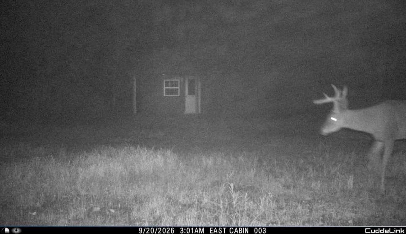 Parcel B Sunflower Road Northeast Kelliher, MN 56650 - Photo 40 of 44 Gallery Image 40