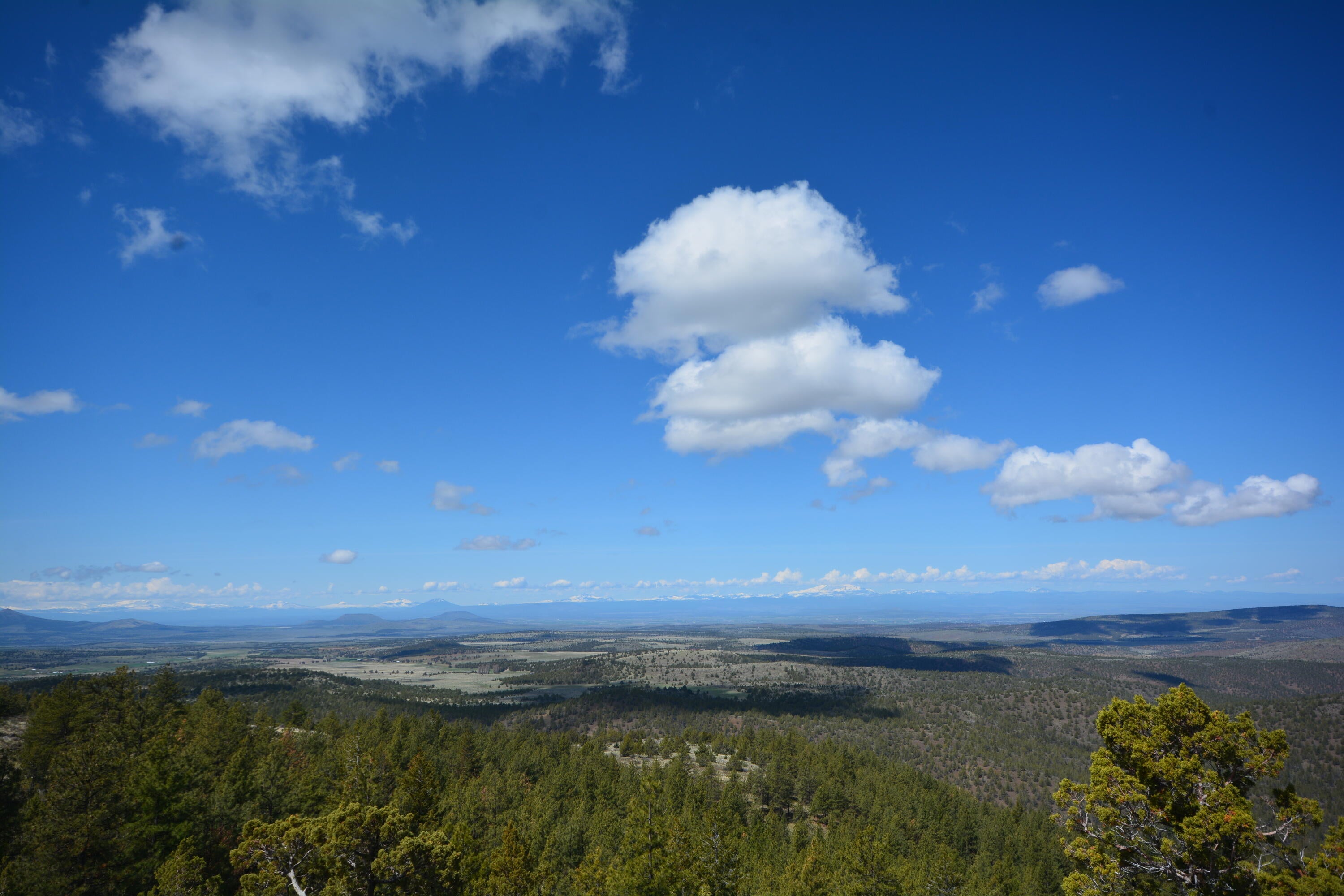 N/a N/a Coon Ridge Road Madras, OR 97741 - Photo 1 of 14 Grizzly Mountain Recreational Property