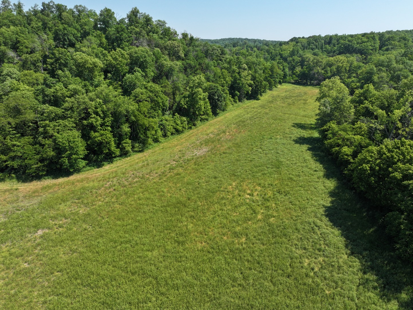110 Wade Reed Road White Bluff, TN 37187 - Photo 7 of 80