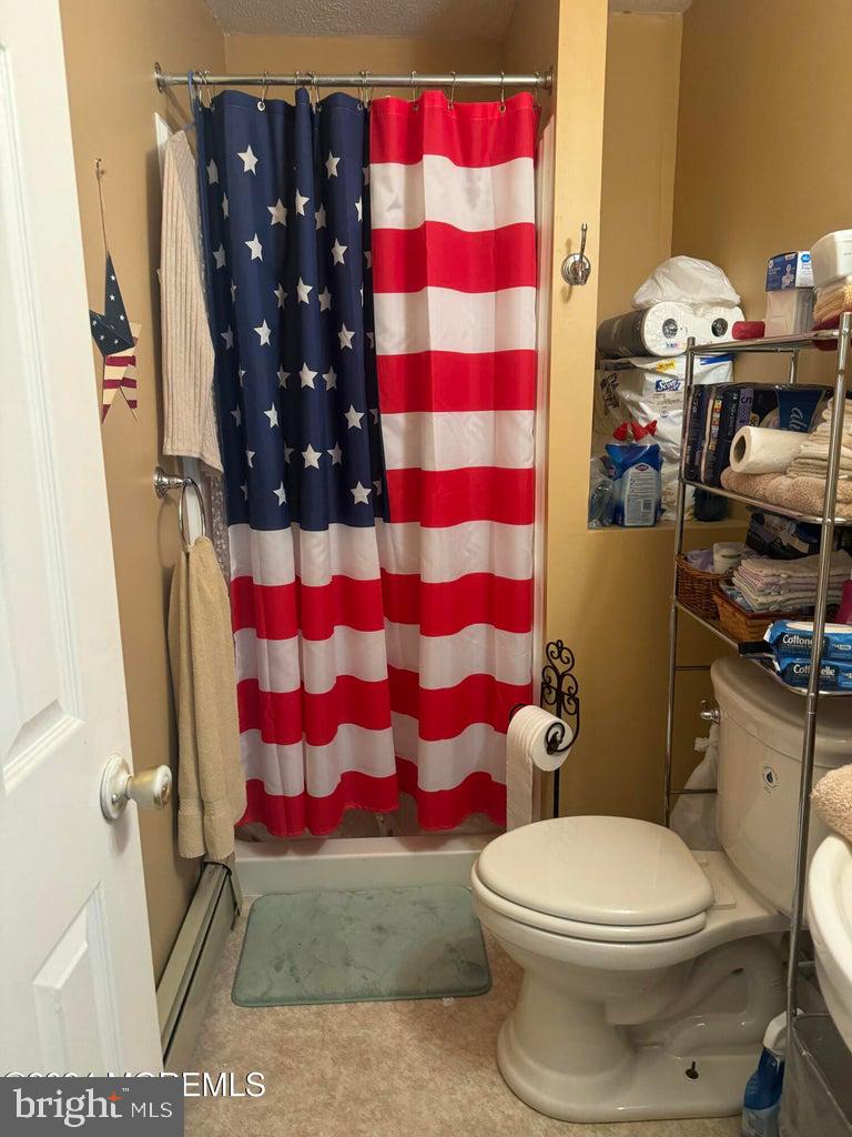 16 Mandalay Road Brick, NJ 08723 - Photo 15 of 22 a bathroom with a toilet and a shower curtain