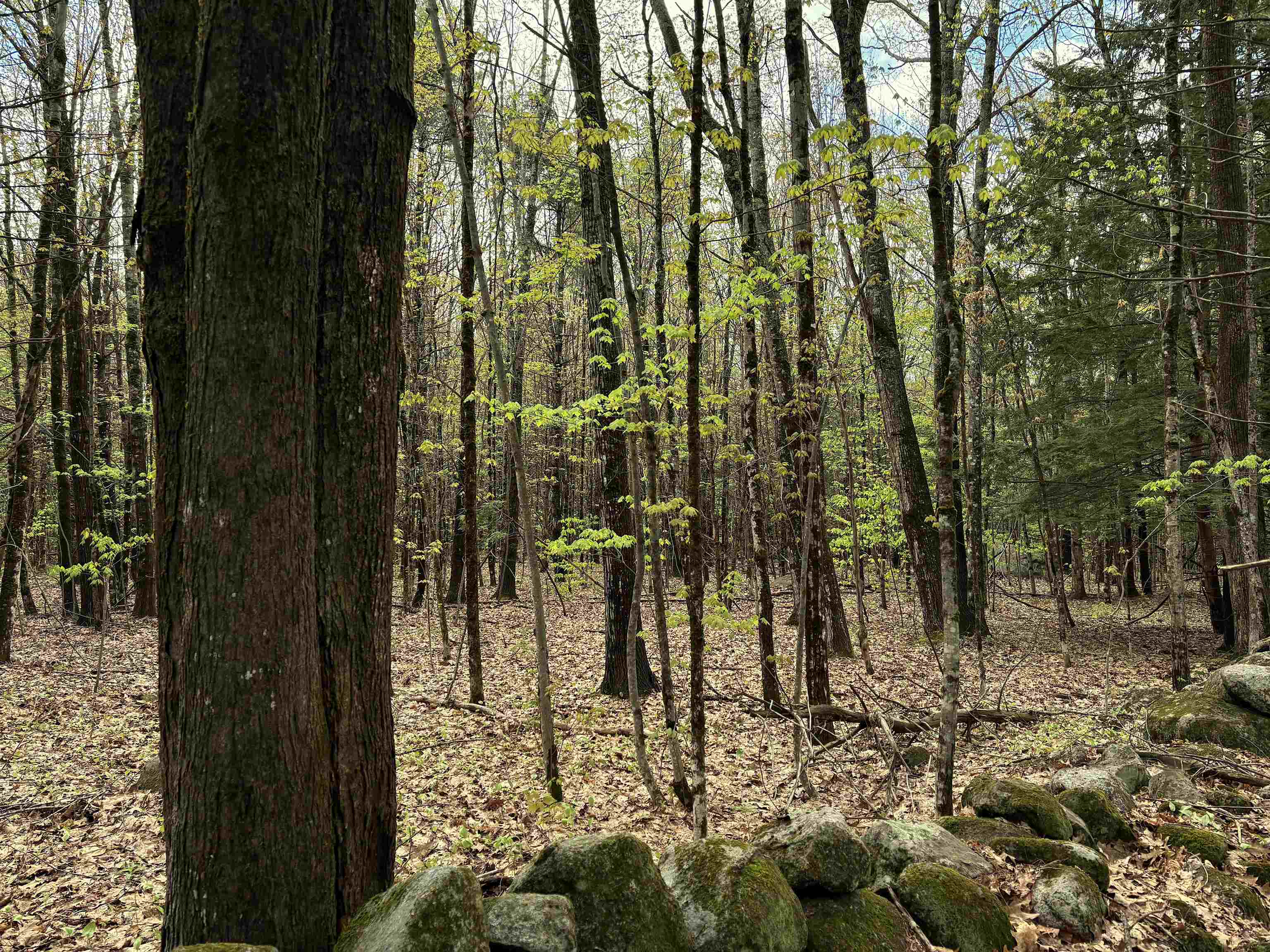 0 Kearsarge Mountain Road Warner, NH 03278 - Photo 3 of 3 Gallery Image 3