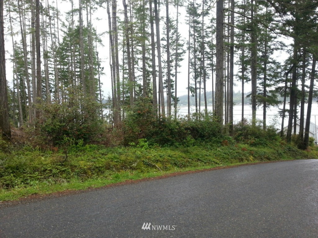 302 East Victor Road Belfair, WA 98528 - Photo 2 of 2