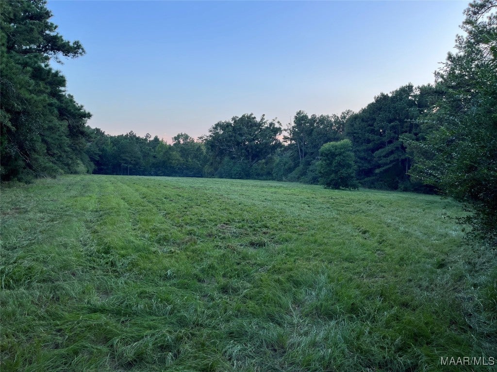 Lot 3 County Road 651 Road Coffee Springs, AL 36318 - Photo 1 of 2 Gallery Image 1