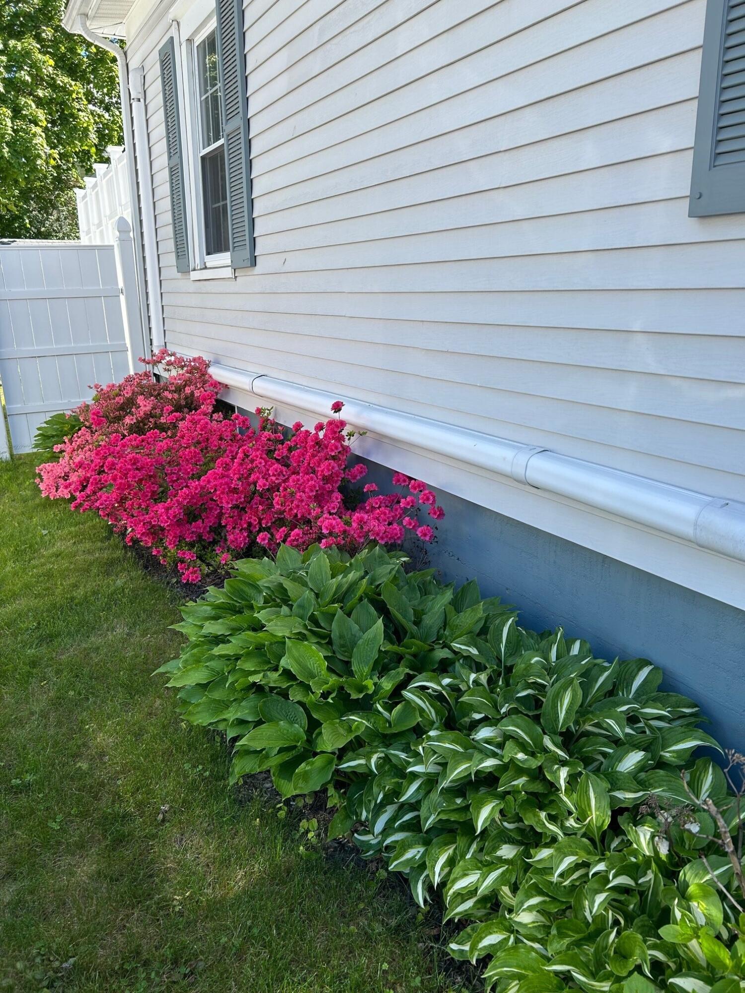25 Harding Street Biddeford, ME 04005 - Photo 43 of 46 Flowers on sie of home