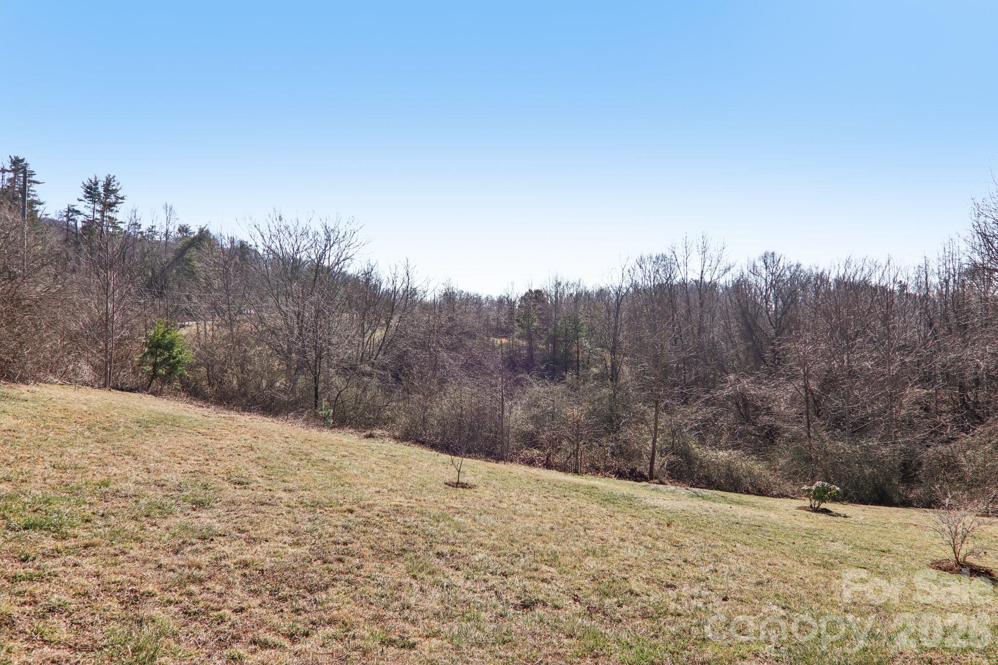 751 Hutch Mountain Road Fletcher, NC 28732 - Photo 40 of 48 a view of a yard with a mountain