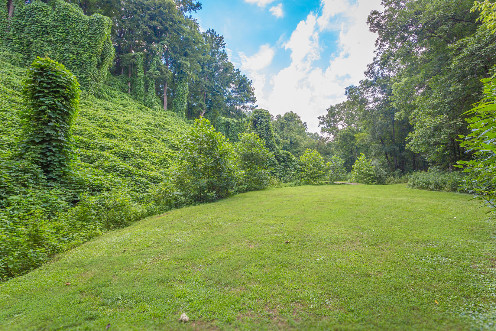 7671 Mt Chestnut Road Roanoke, VA 24018 - Photo 15 of 48 IMG_2012