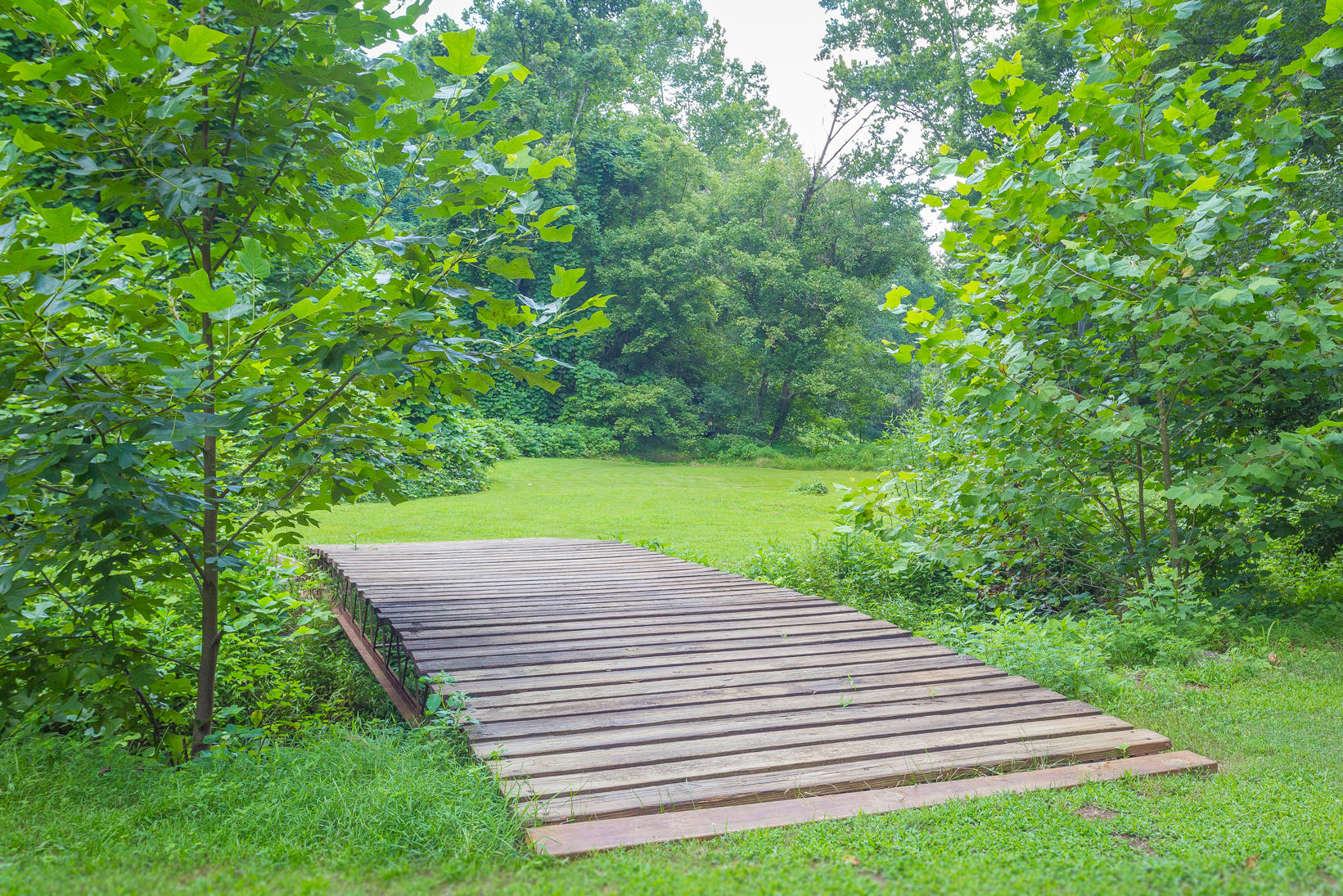 7671 Mt Chestnut Road Roanoke, VA 24018 - Photo 17 of 48 IMG_2014