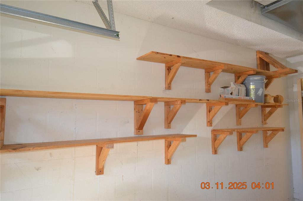 204 Hemingway Drive Oldsmar, FL 34677 - Photo 34 of 35 a close view of walk in closet