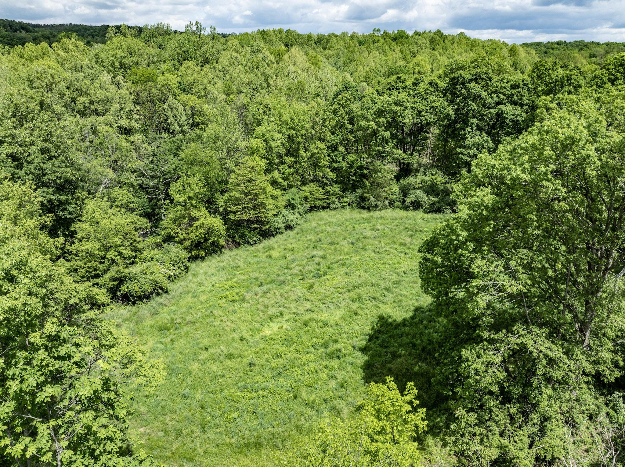 0 Dutch Ridge Road New Straitsville, OH 43766 - Photo 13 of 28 14