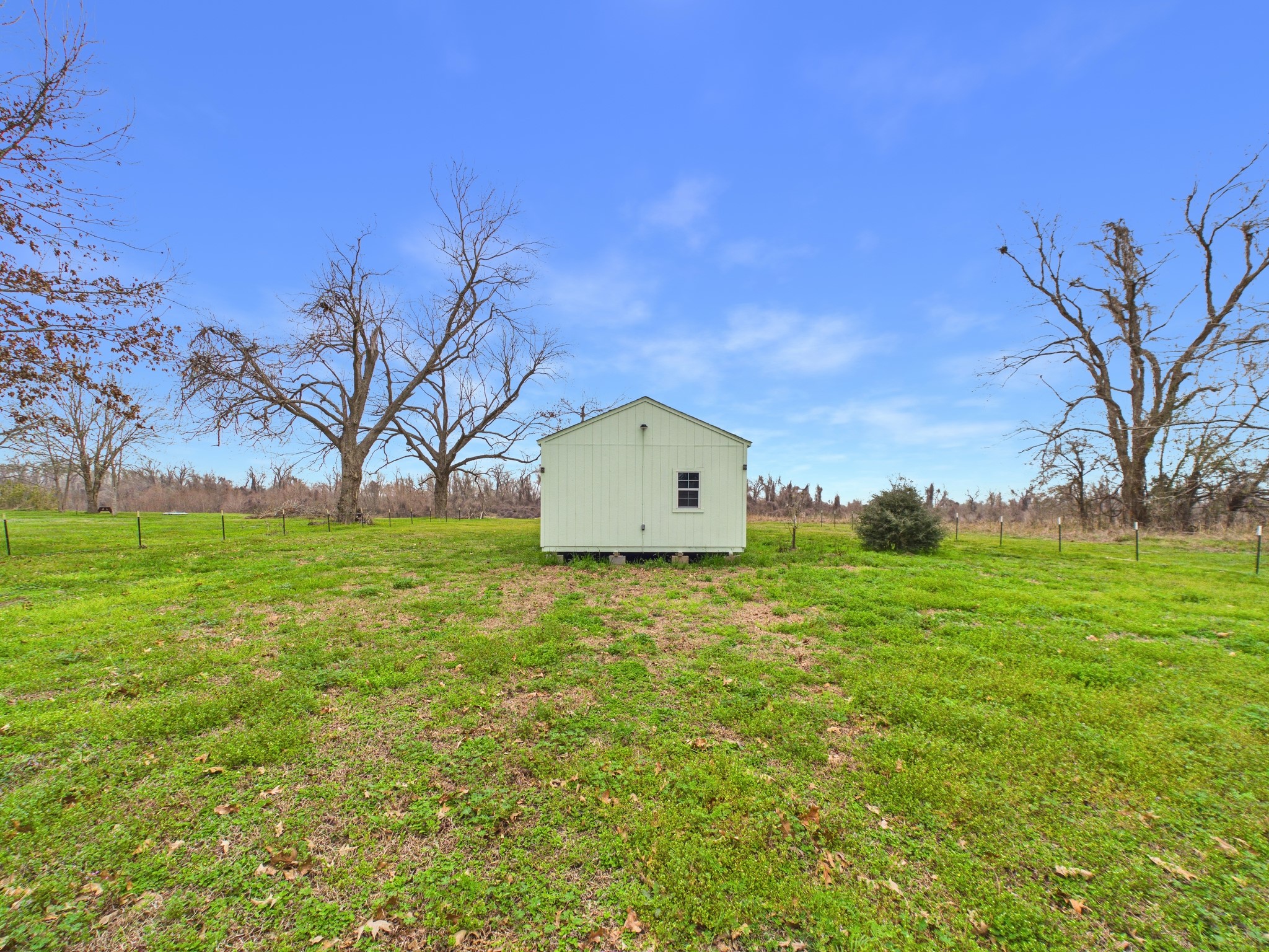 282 B Rte 66 Livingston, TX 77351 - Photo 19 of 25 a backyard of a house with lots of green space