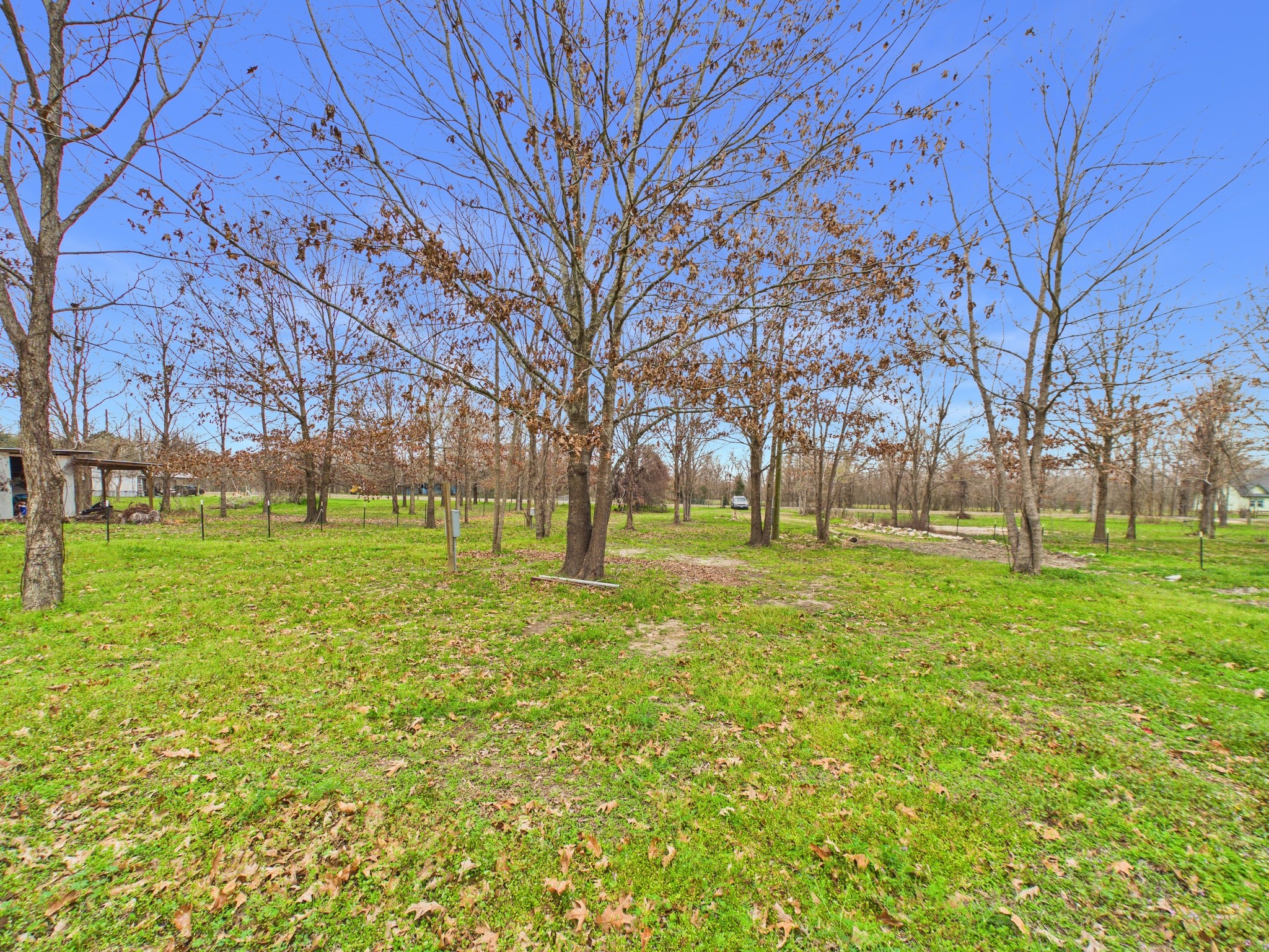 282 B Rte 66 Livingston, TX 77351 - Photo 20 of 25 a huge green field with lots of trees