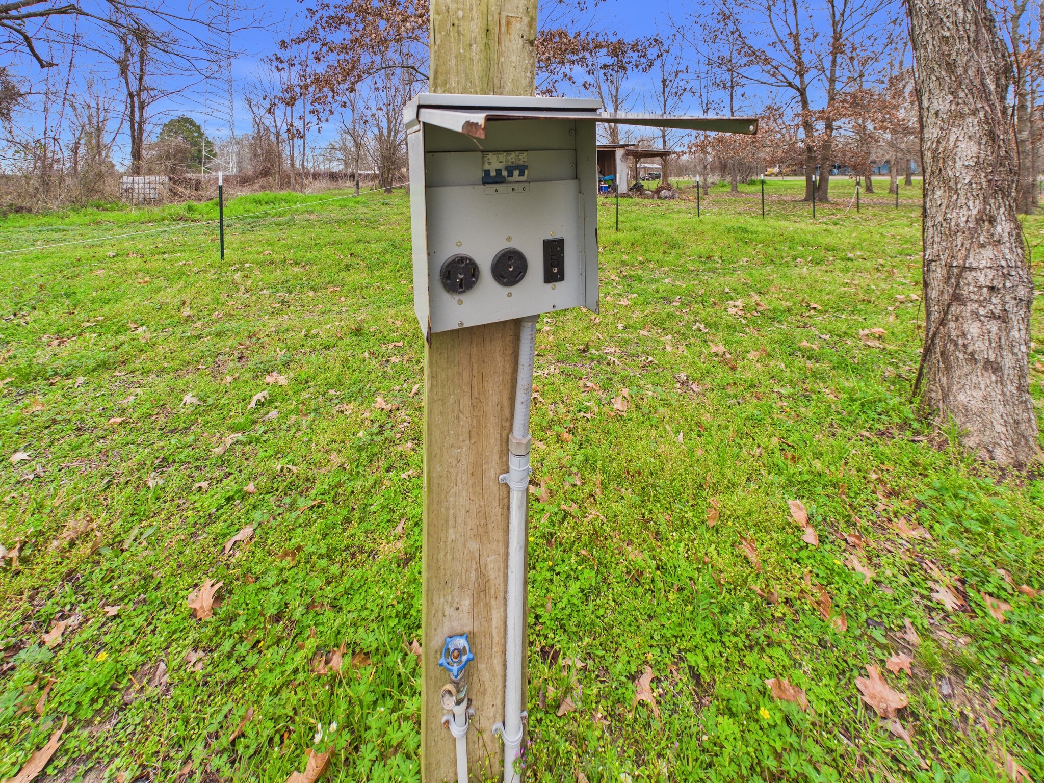 282 B Rte 66 Livingston, TX 77351 - Photo 21 of 25 a backyard of a house with lots of green space and garden