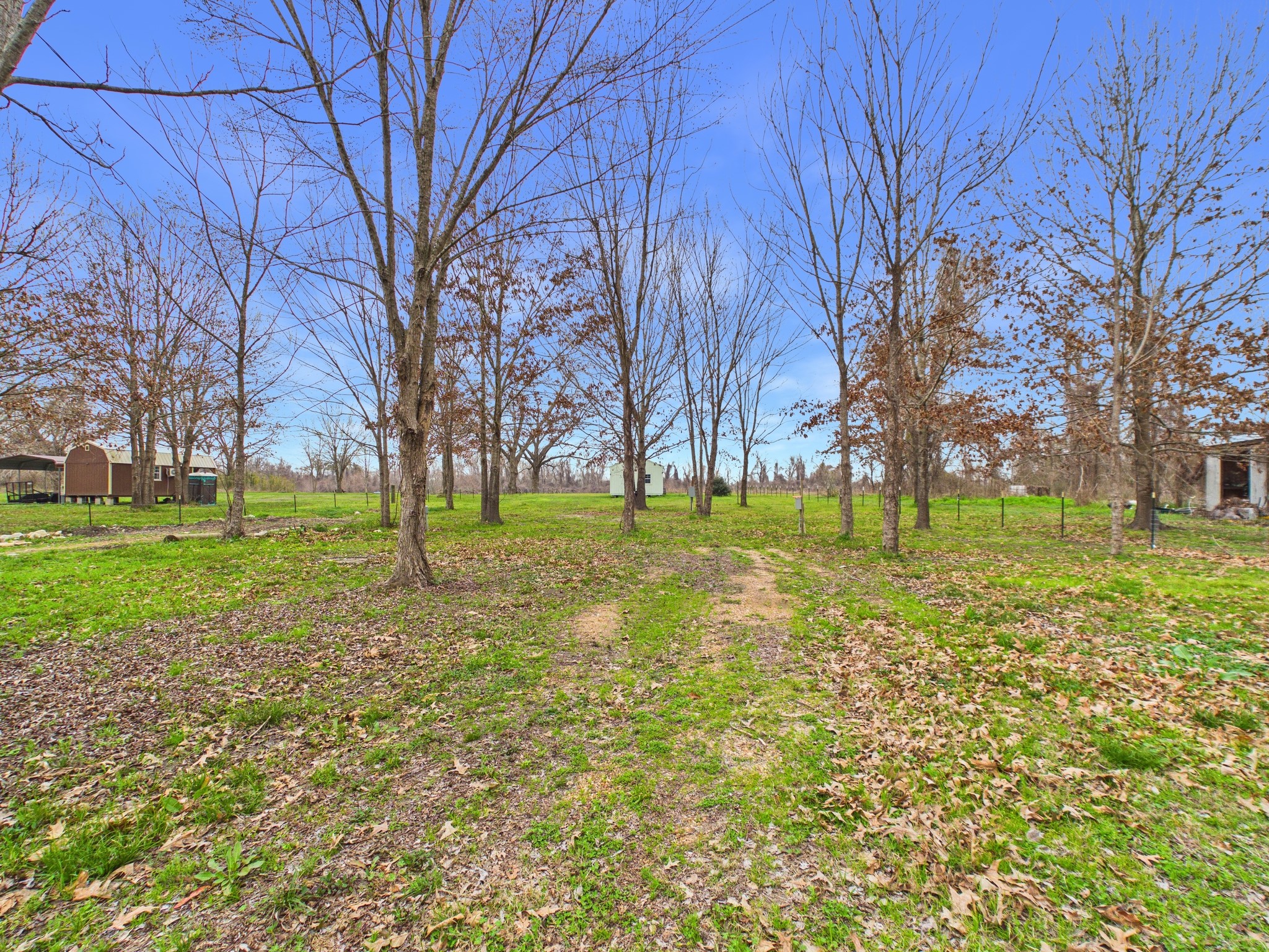 282 B Rte 66 Livingston, TX 77351 - Photo 23 of 25 a backyard of a house with lots of green space