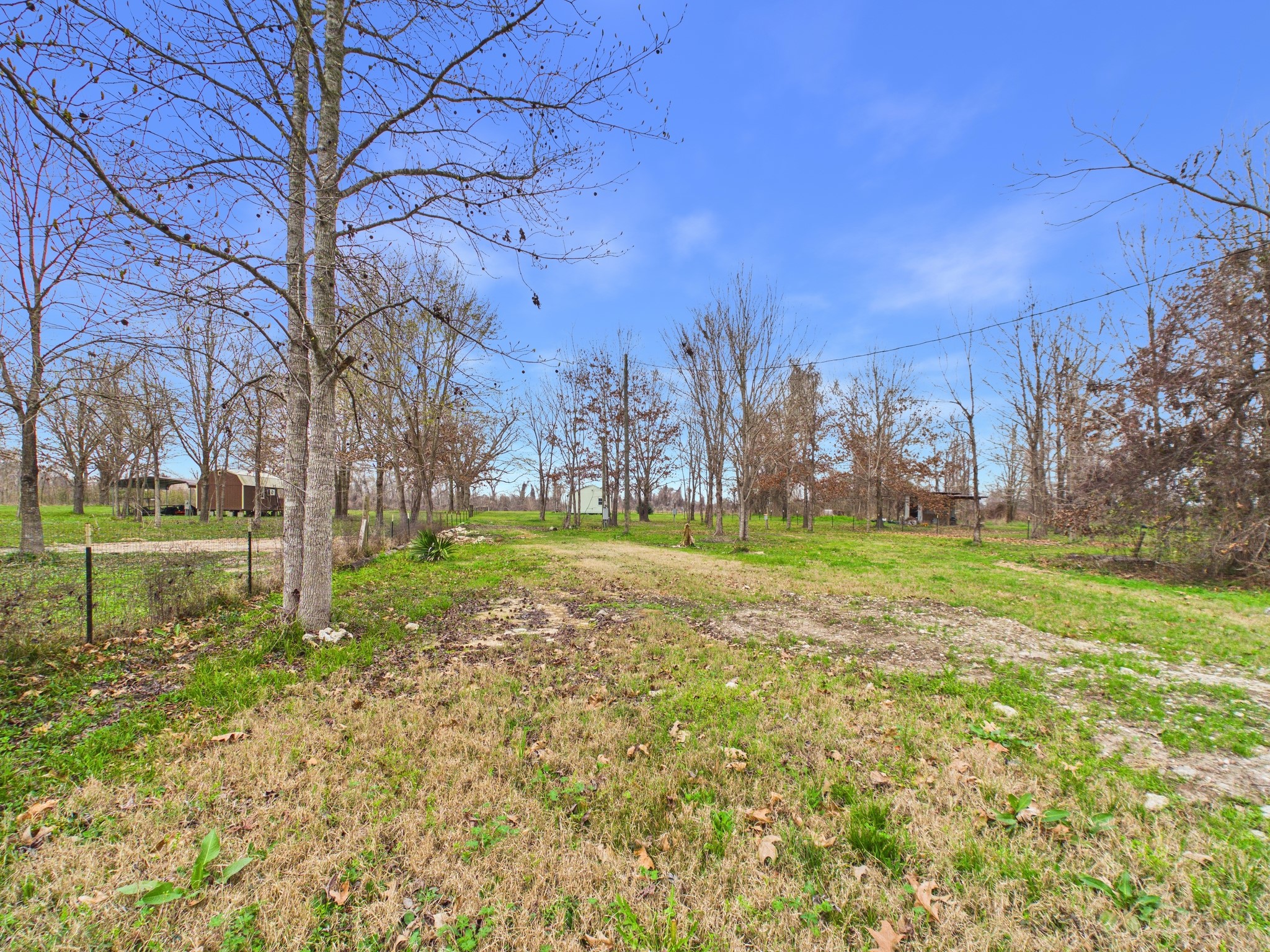 282 B Rte 66 Livingston, TX 77351 - Photo 24 of 25 a view of a park with large trees