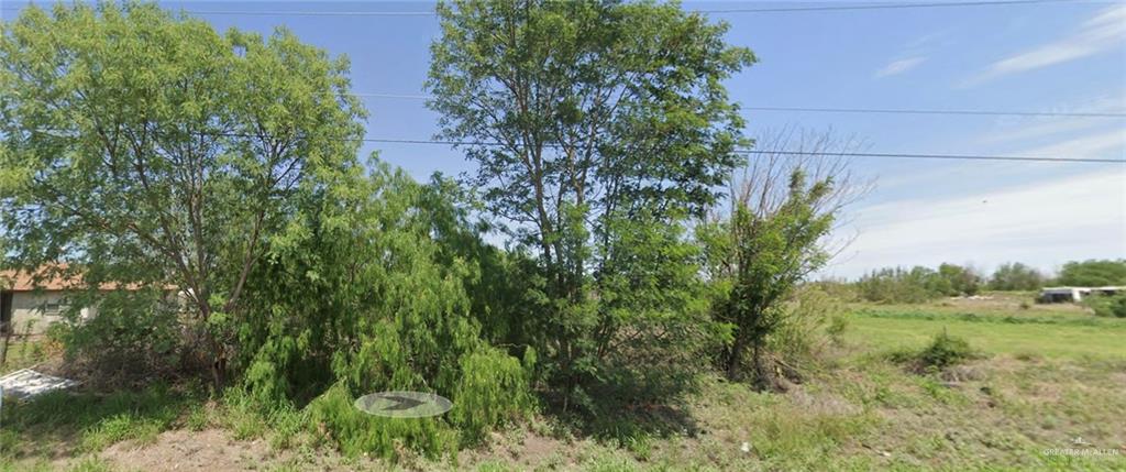 0 West Mile 7 Road Mission, TX 78574 - Photo 5 of 5 a view of a lush green forest with lots of trees