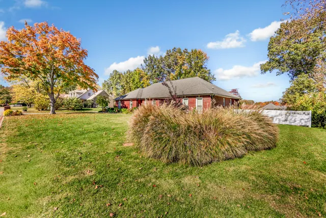 a view of a yard with an umbrella