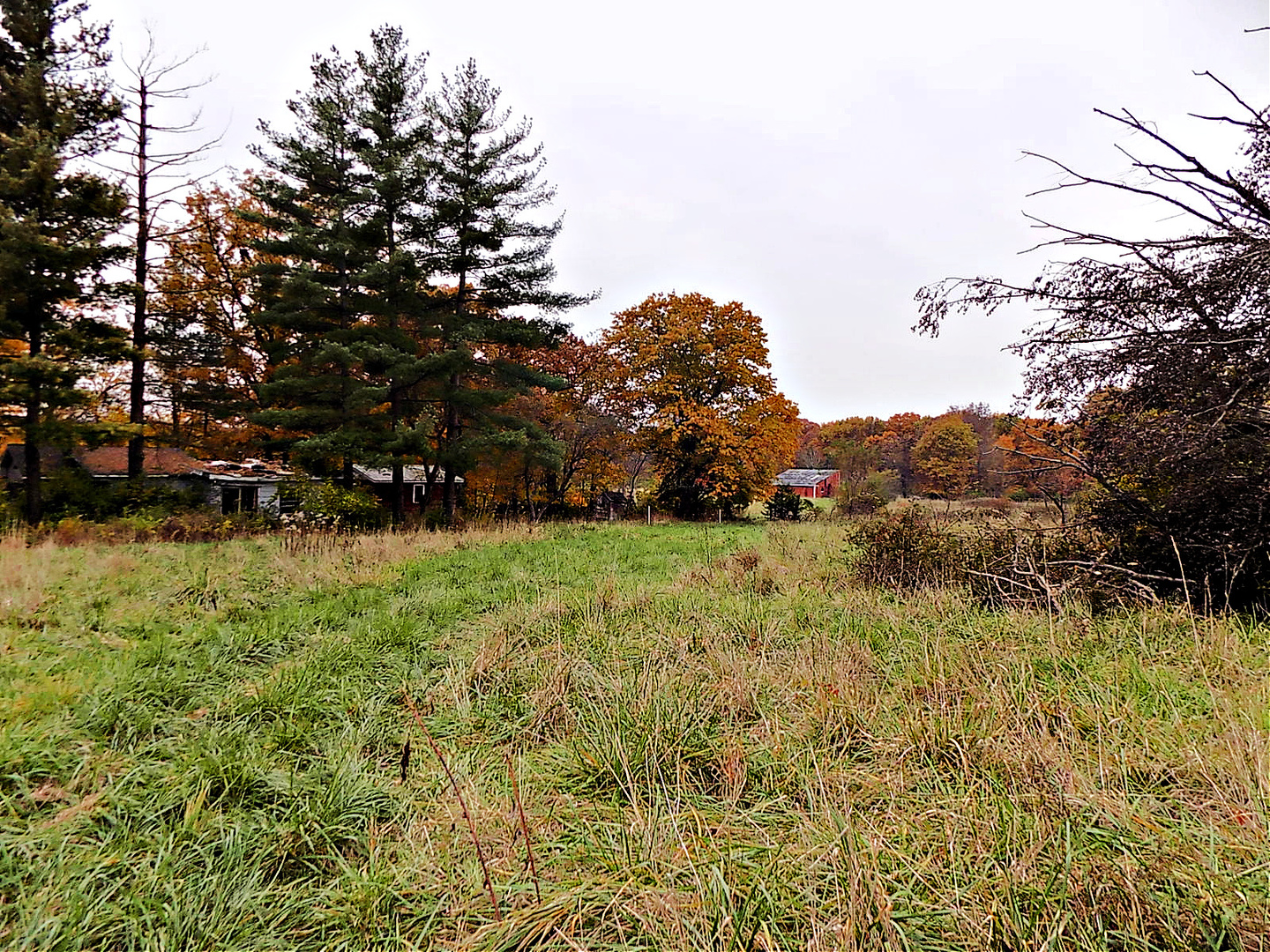 1250 North 1259th Road Grand Ridge, IL 61325 - Photo 4 of 9 a view of a field of the house