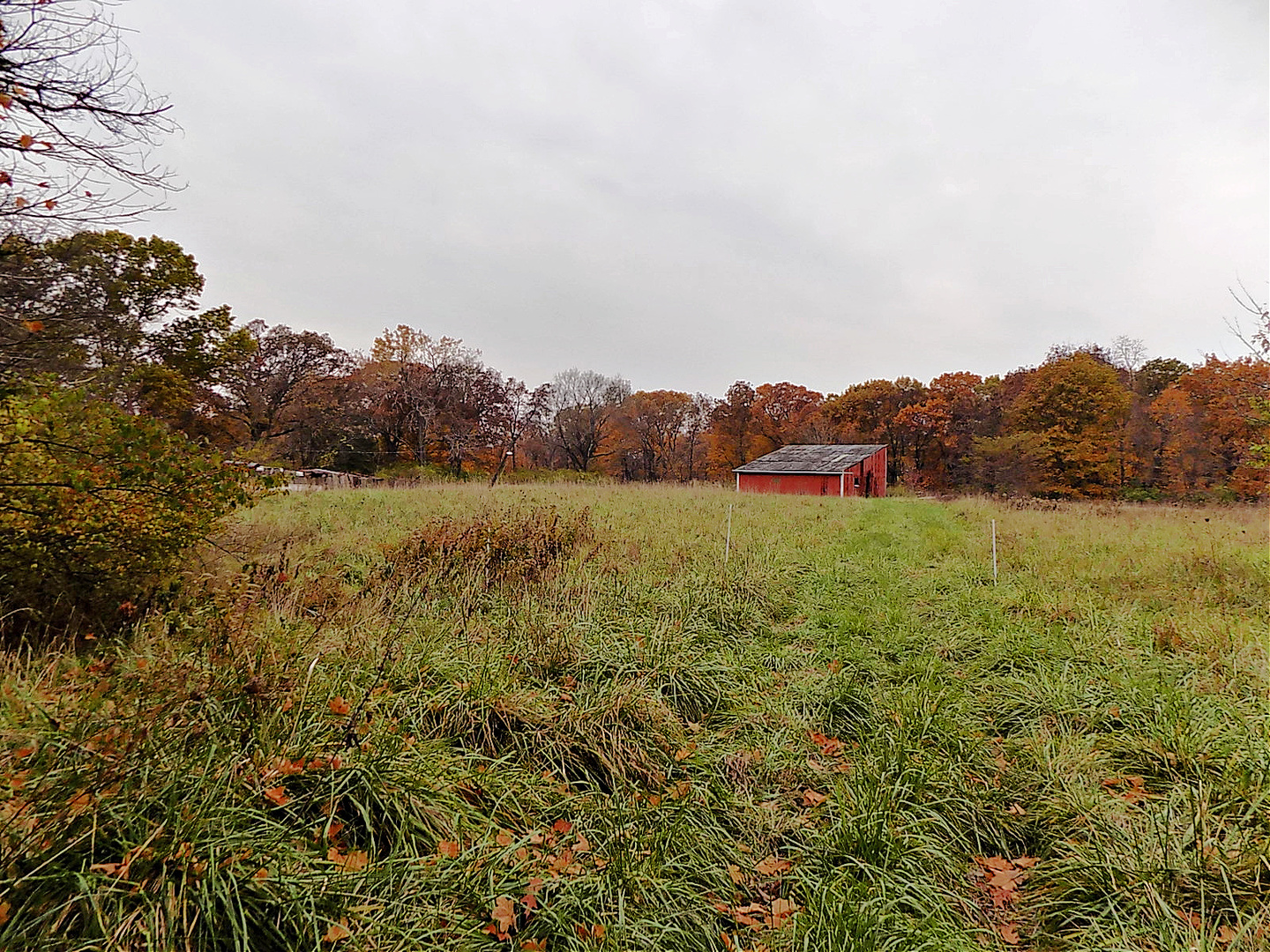 1250 North 1259th Road Grand Ridge, IL 61325 - Photo 7 of 9 a view of lake and mountain view