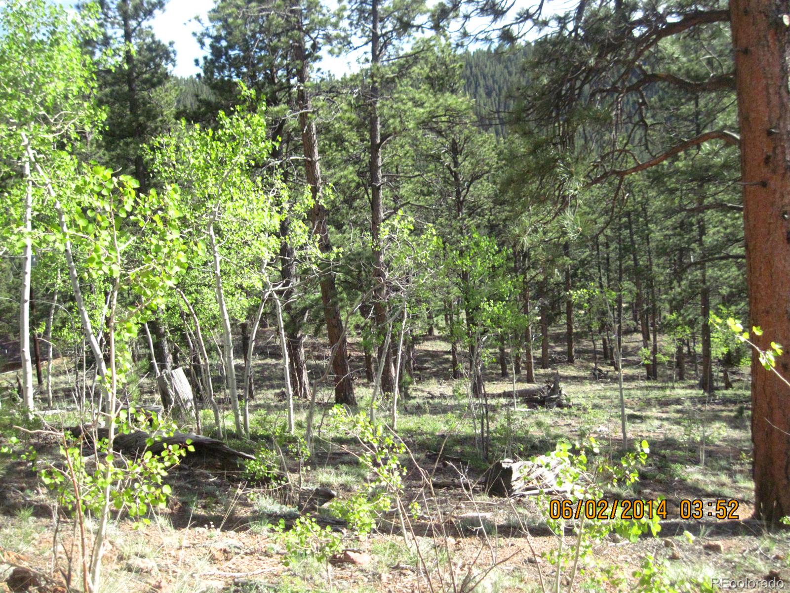 544 Hall Road Bailey, CO 80421 - Photo 1 of 6 Gallery Image 1