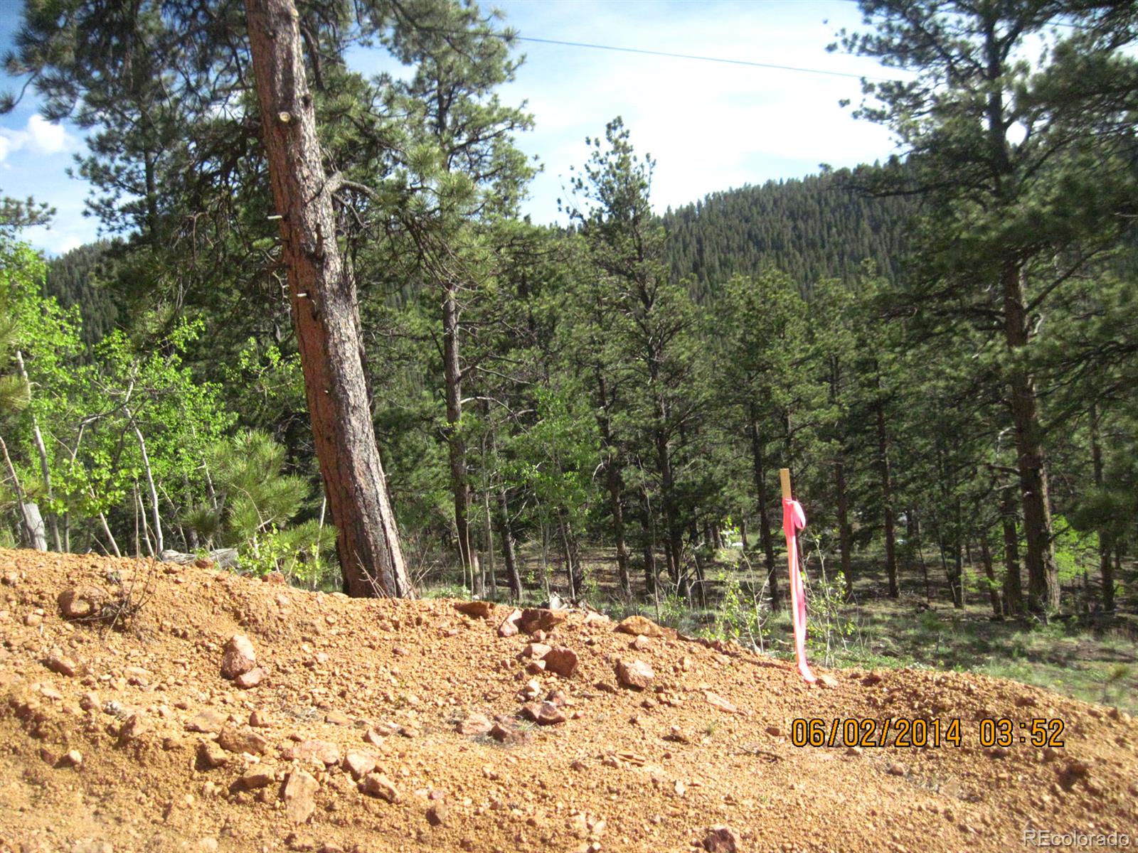544 Hall Road Bailey, CO 80421 - Photo 3 of 6 Gallery Image 3
