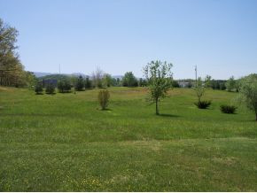 235 Shaw Road, Unit 13 Chuckey, TN 37641 - Photo 1 of 2 Photo 1