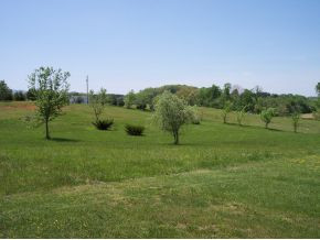 235 Shaw Road, Unit 13 Chuckey, TN 37641 - Photo 2 of 2 Photo 2