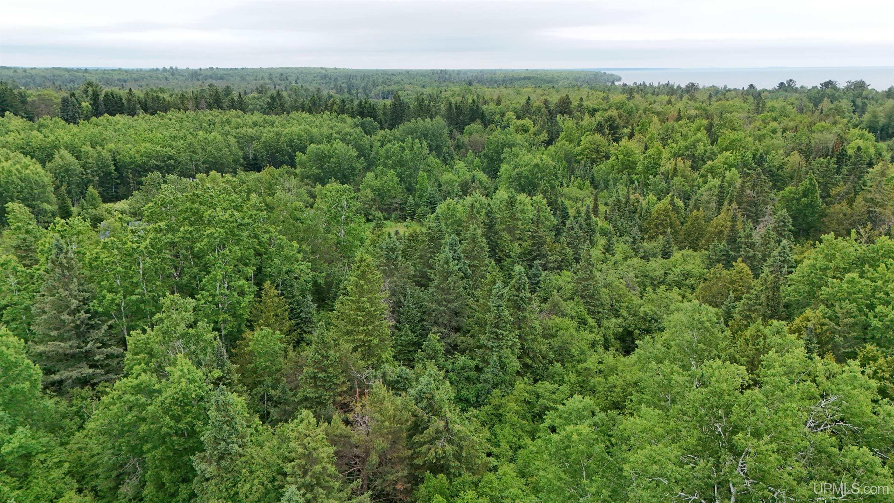 5.23 Messner Road Baraga, MI 49908 - Photo 14 of 18