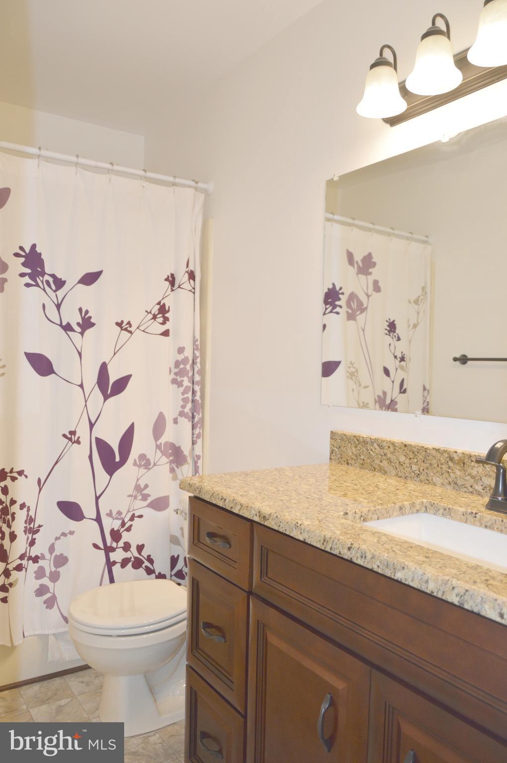 12214 Braddock Road Fairfax, VA 22030 - Photo 11 of 30 Bath