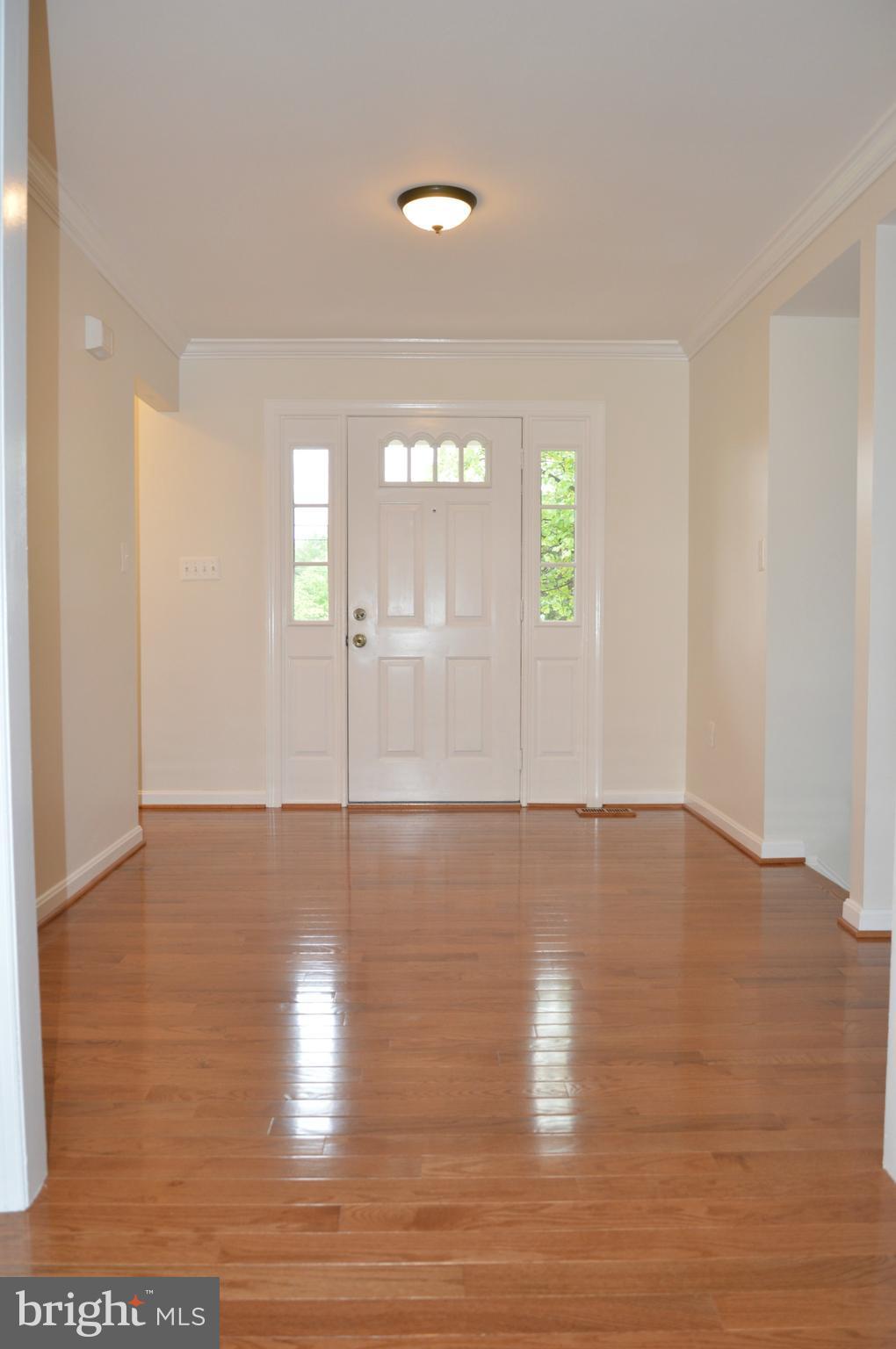 Interior (General)