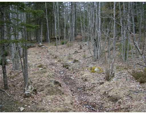 134 Ashville Road Sullivan, ME 04664 - Photo 8 of 25 Land.