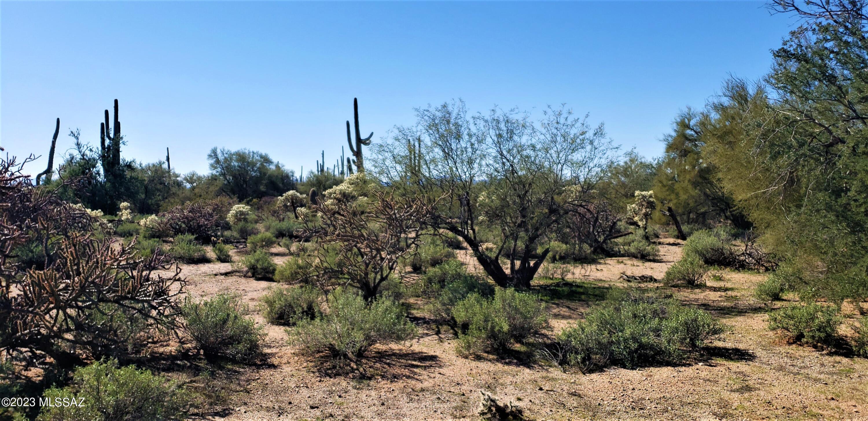 Tbd East Anaconda Road Marana, AZ 85658 - Photo 17 of 21 Gallery Image 17