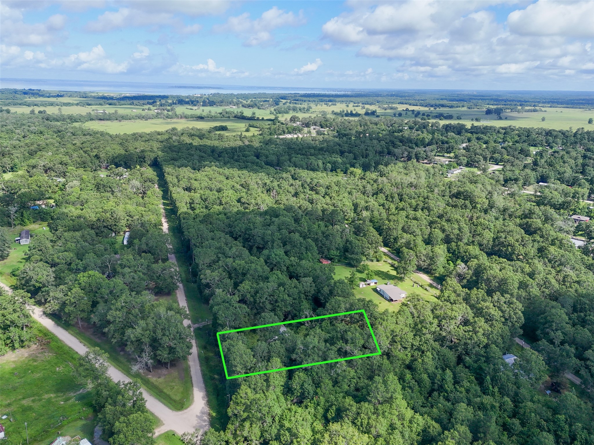 116 San Juan Livingston, TX 77351 - Photo 1 of 24 a view of a green field with lots of bushes