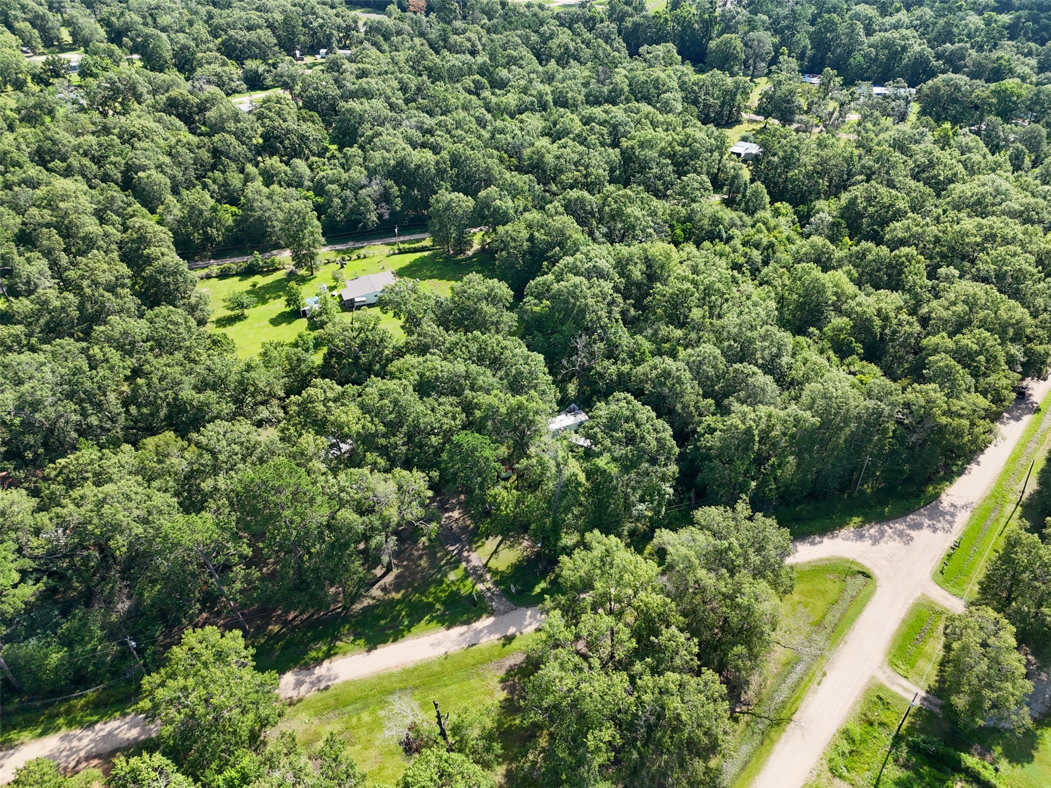 116 San Juan Livingston, TX 77351 - Photo 11 of 24 a view of a forest with a houses