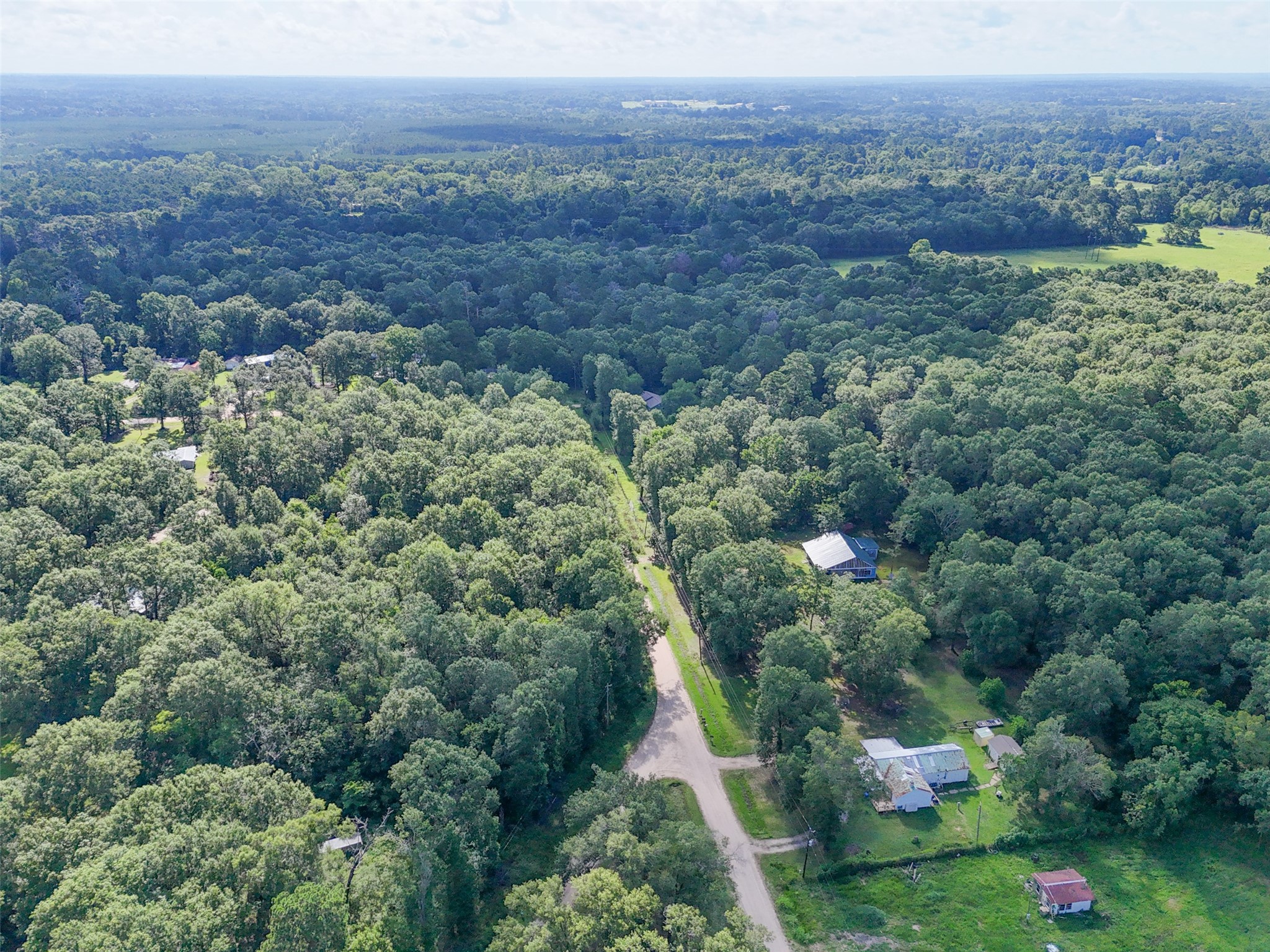 116 San Juan Livingston, TX 77351 - Photo 14 of 24 a view of a lush green forest with trees and some houses
