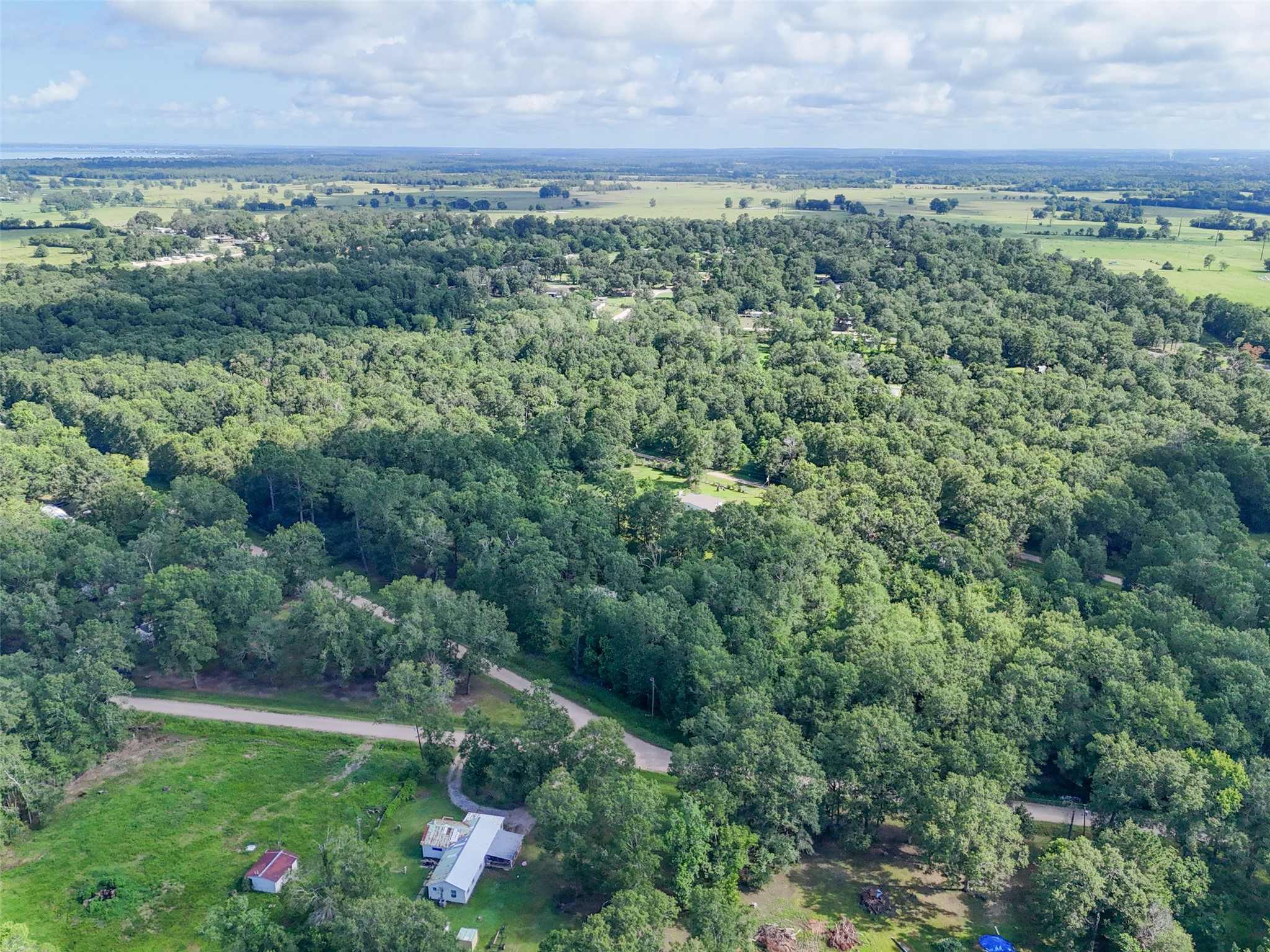 116 San Juan Livingston, TX 77351 - Photo 17 of 24 a view of a yard with a street