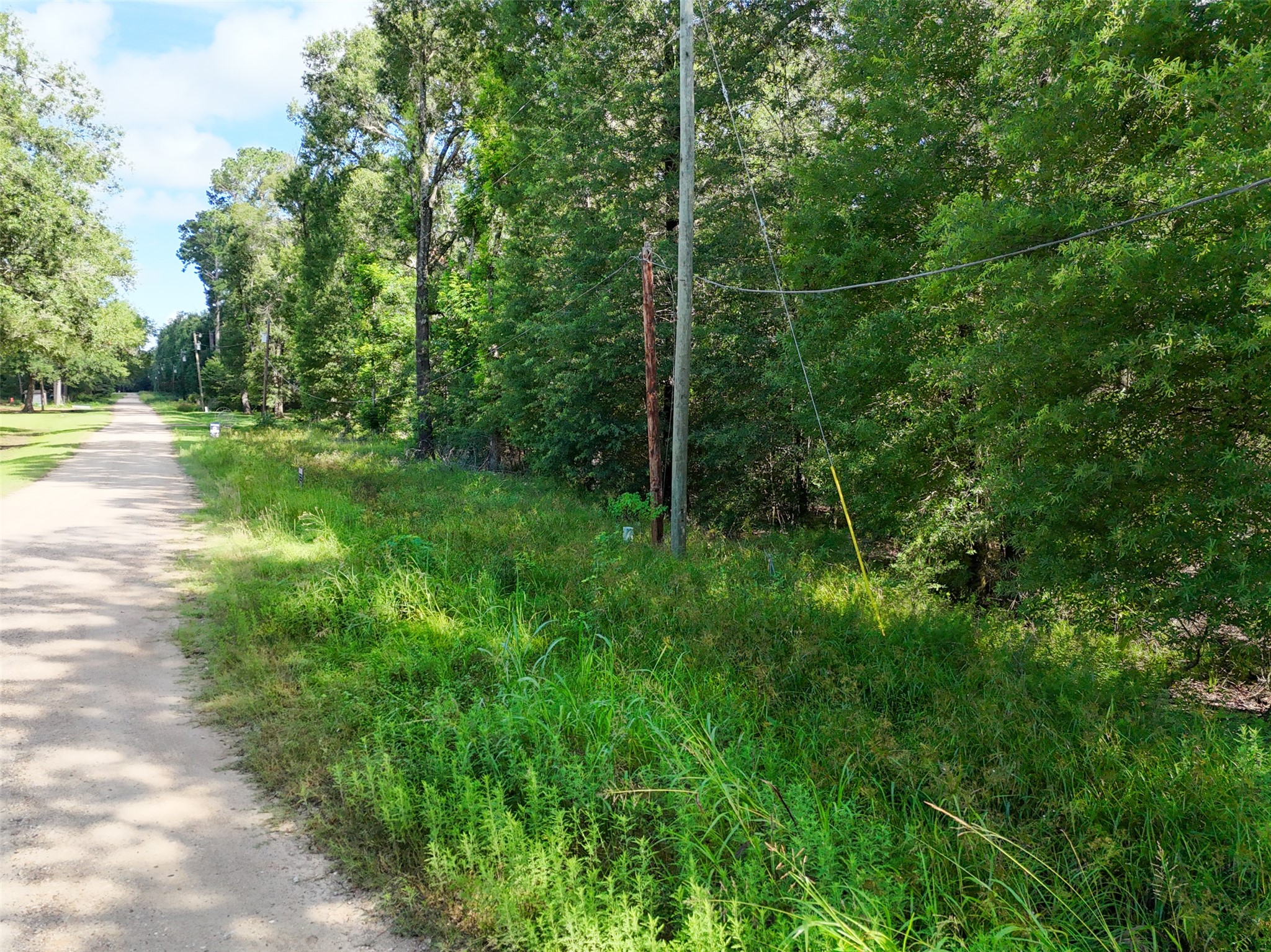 116 San Juan Livingston, TX 77351 - Photo 2 of 24 a view of outdoor space and yard