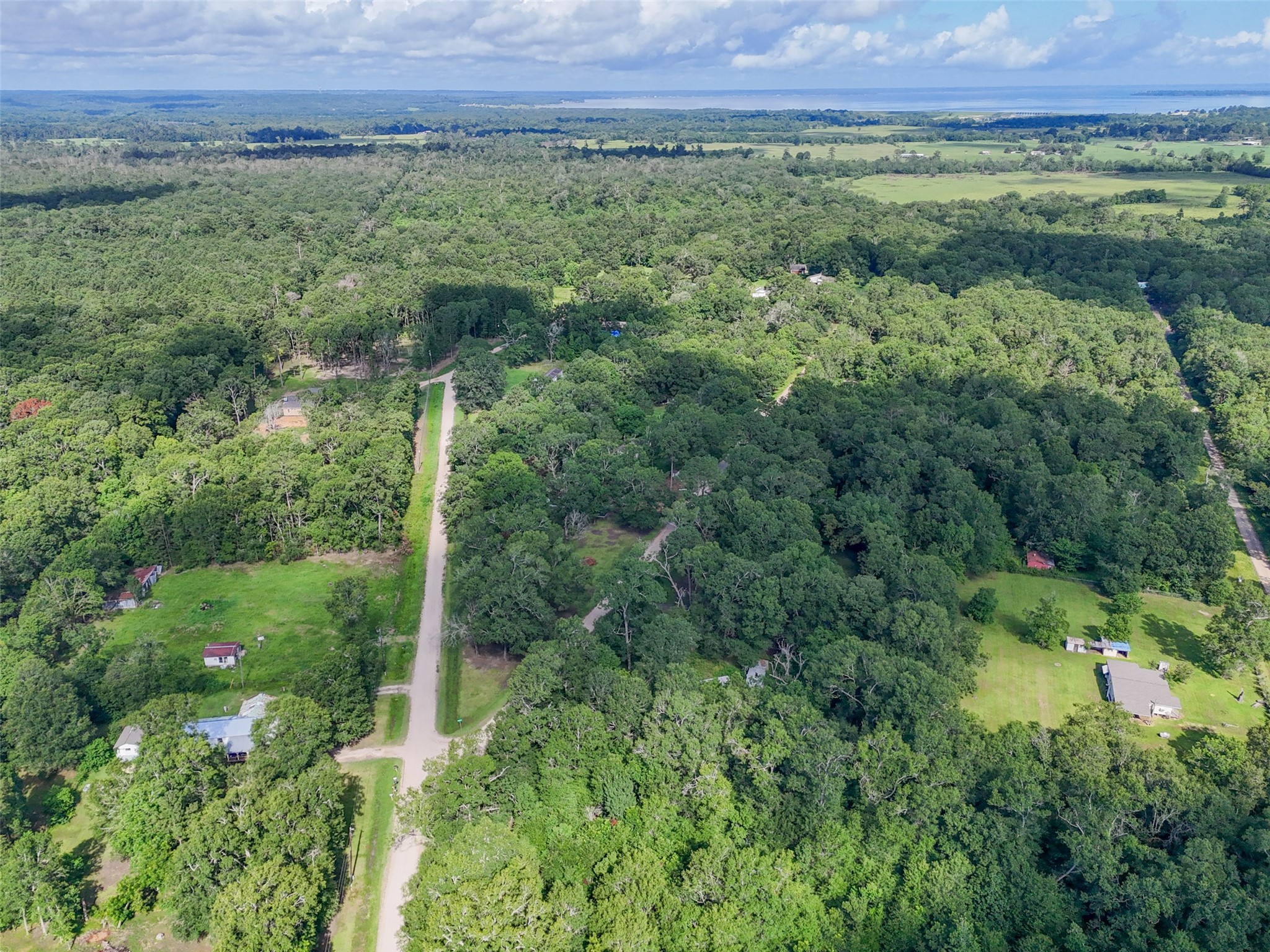116 San Juan Livingston, TX 77351 - Photo 22 of 24 a view of a lush green field with lots of plants in it
