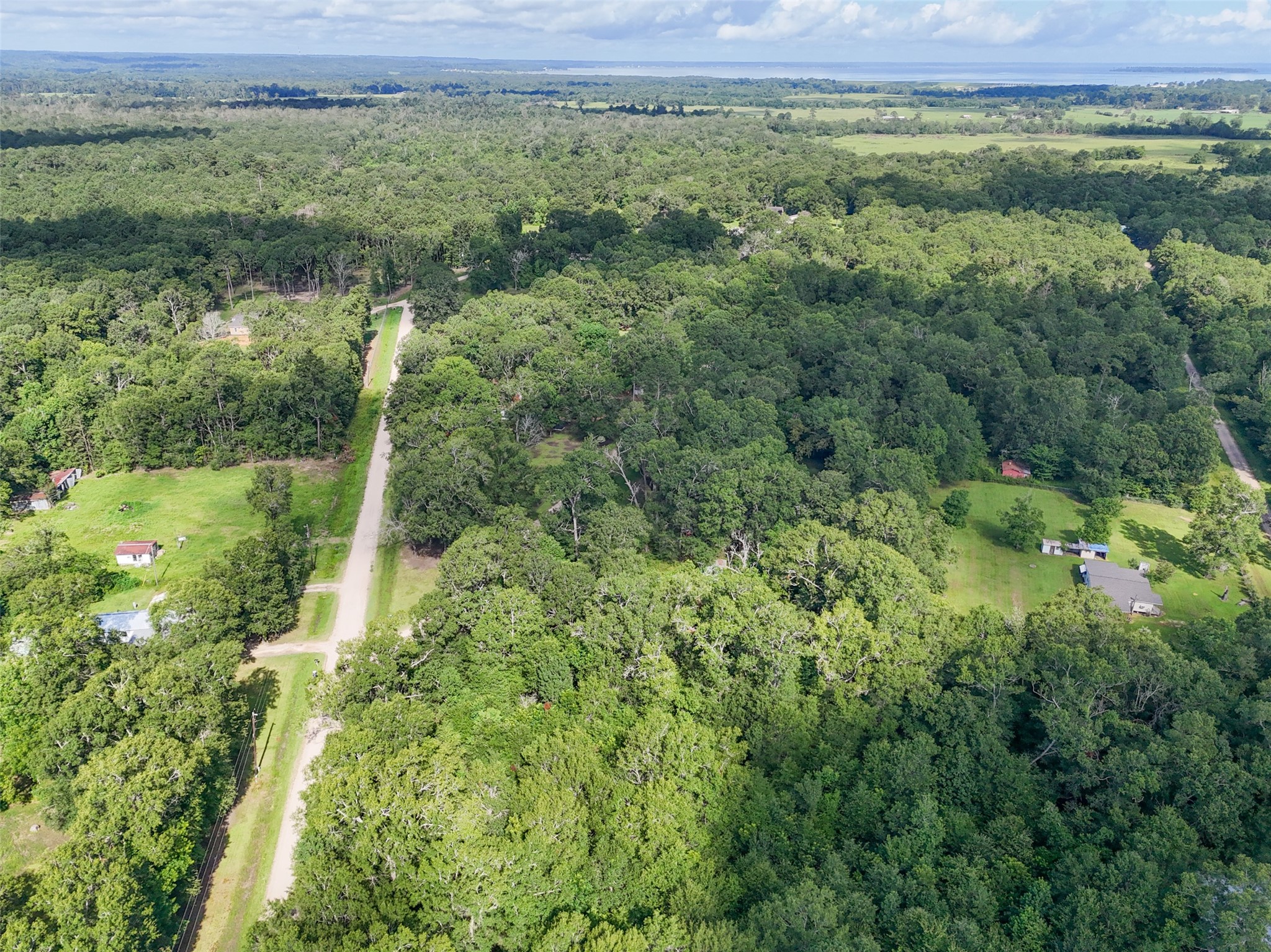 116 San Juan Livingston, TX 77351 - Photo 23 of 24 a view of a green field with lots of bushes