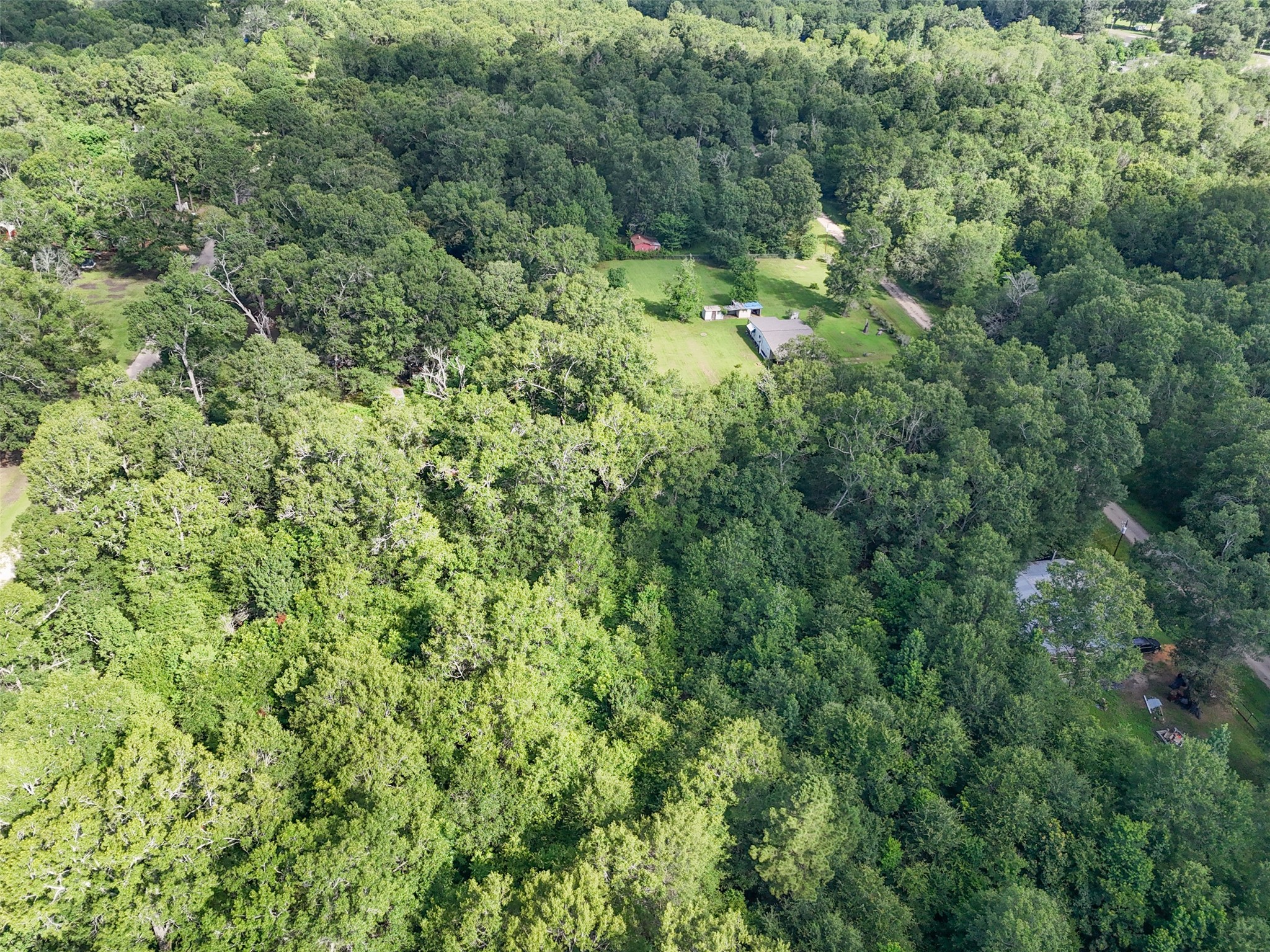 116 San Juan Livingston, TX 77351 - Photo 24 of 24 an aerial view of residential house with outdoor space and trees all around