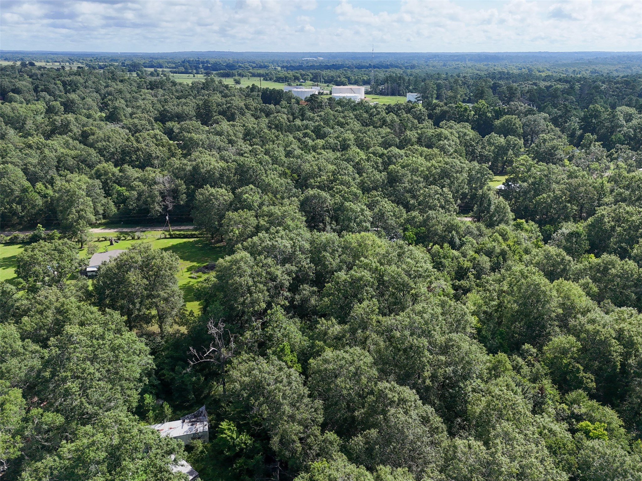116 San Juan Livingston, TX 77351 - Photo 6 of 24