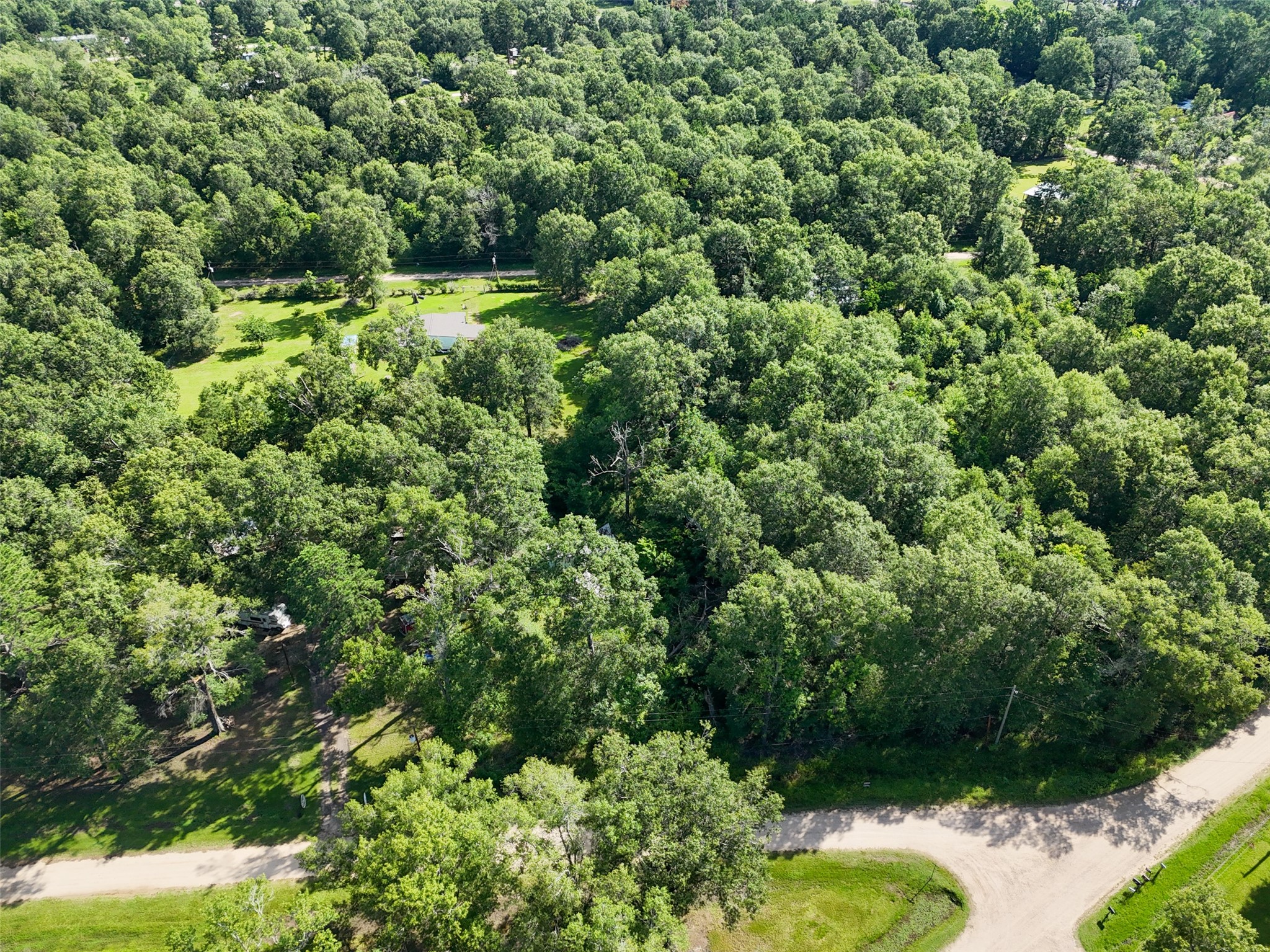 116 San Juan Livingston, TX 77351 - Photo 8 of 24 a view of a forest with a street