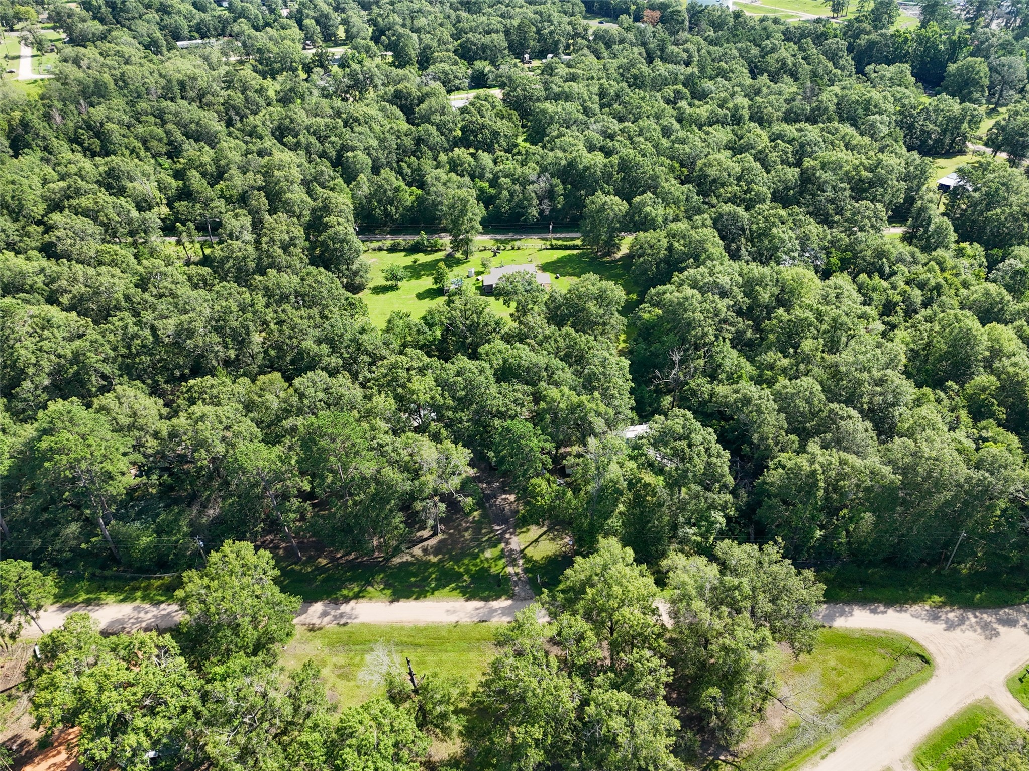 116 San Juan Livingston, TX 77351 - Photo 10 of 24 a view of a lush green forest with a house